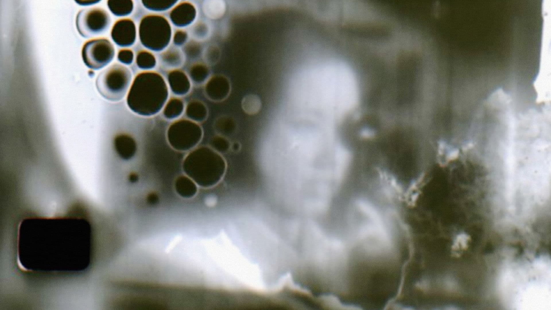 エマルジョン・ペインター