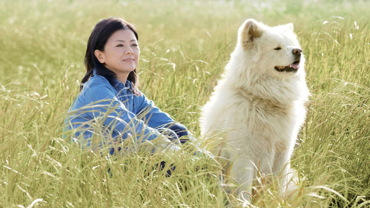 내 친구 와사오