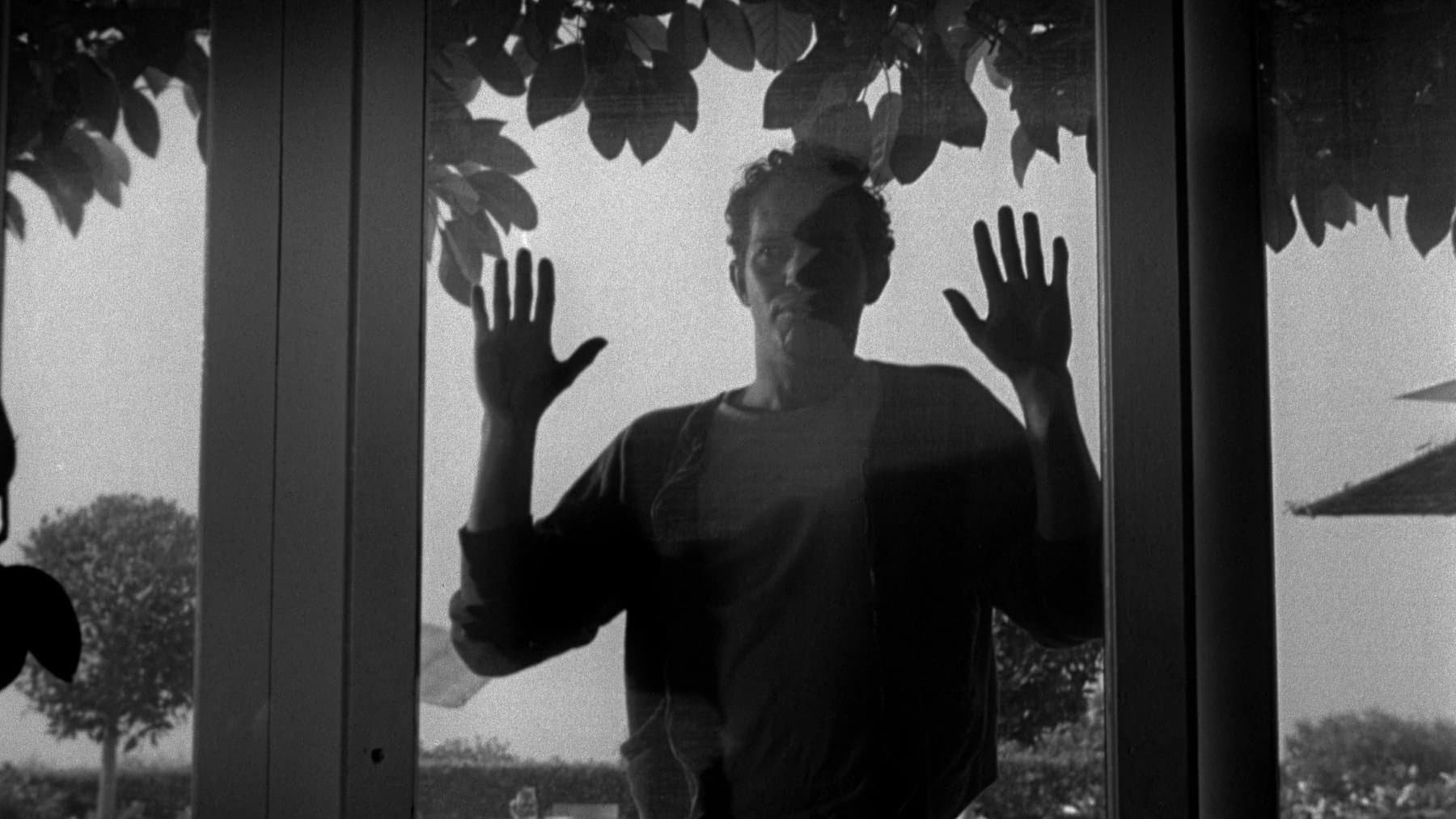 프라이빗 프라퍼티