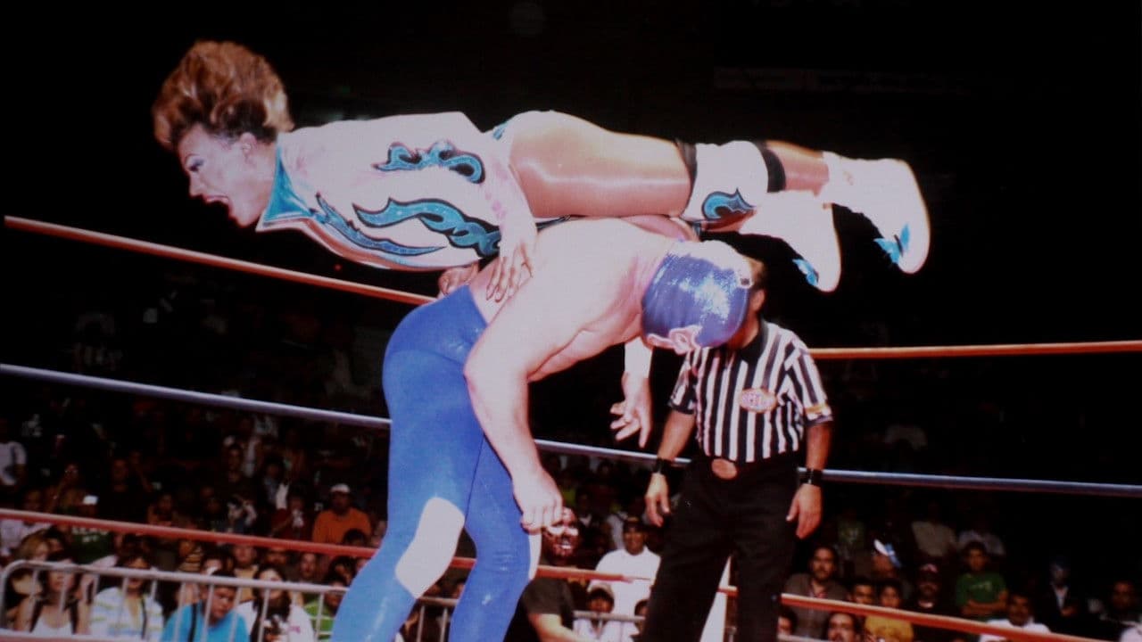 카산드로 엑소티코!