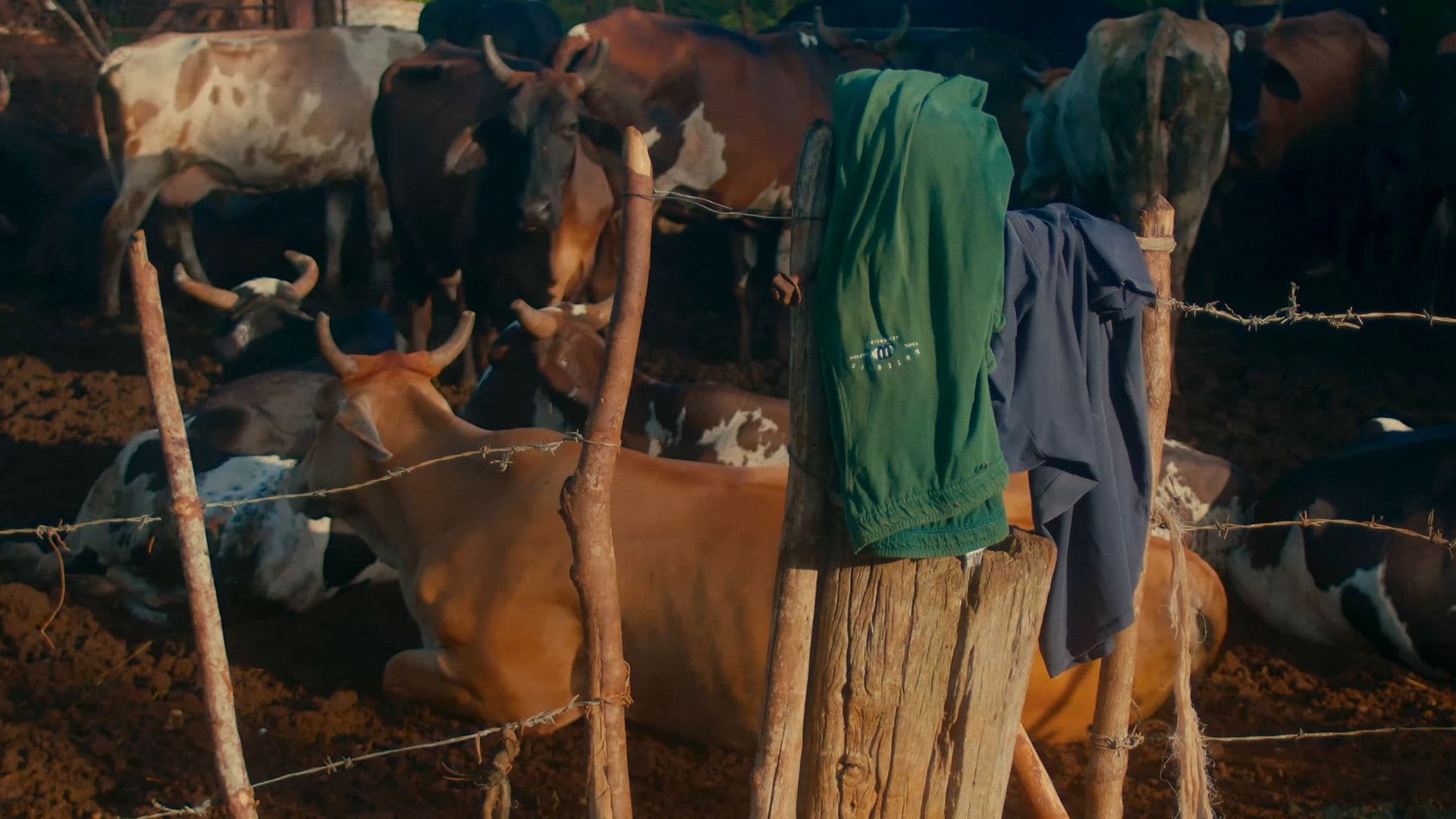 Para verme cierro los ojos