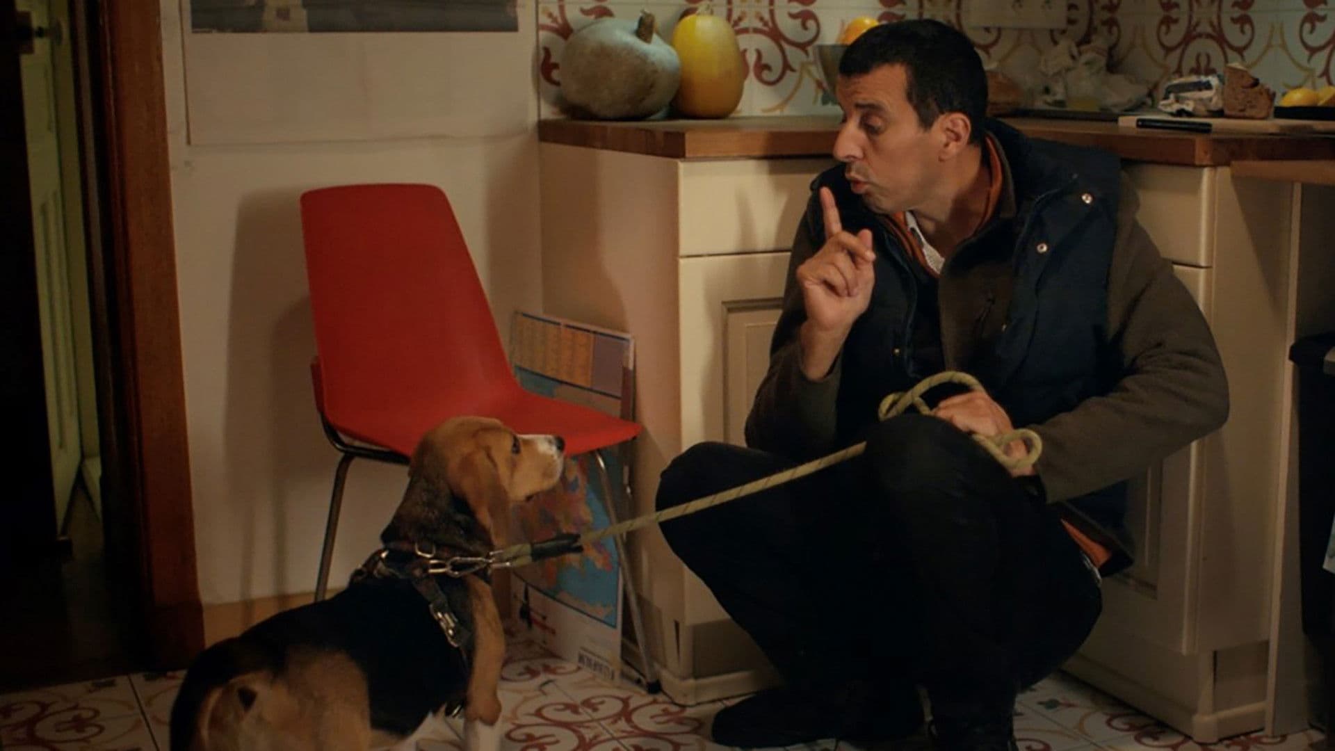 Le Dogsitter (Maintenant que je suis un fantôme)