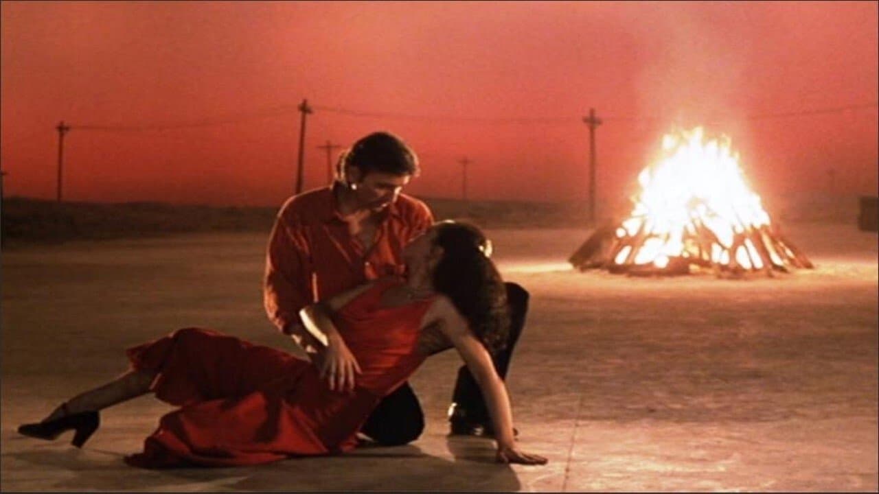 마법사를 사랑하라