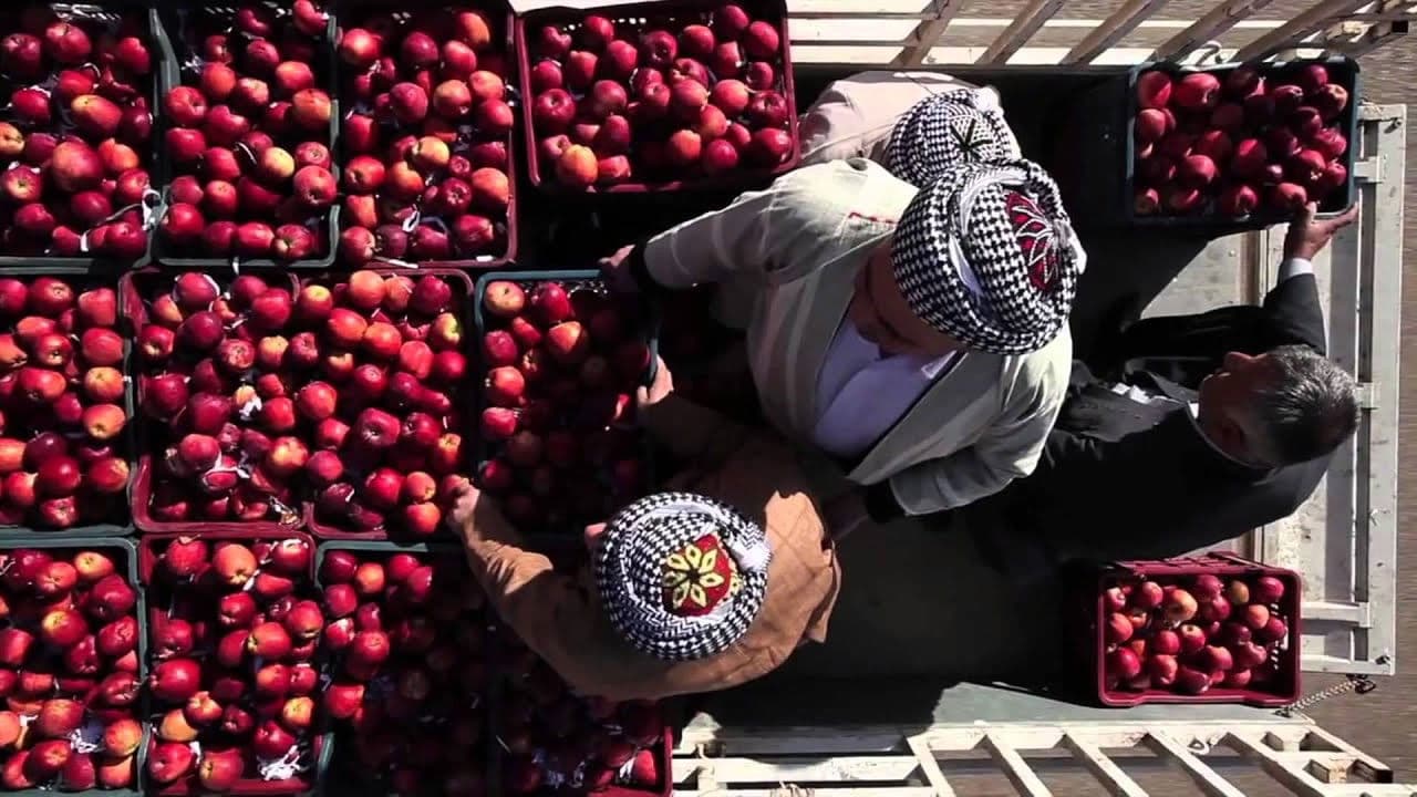 천 한 개의 사과