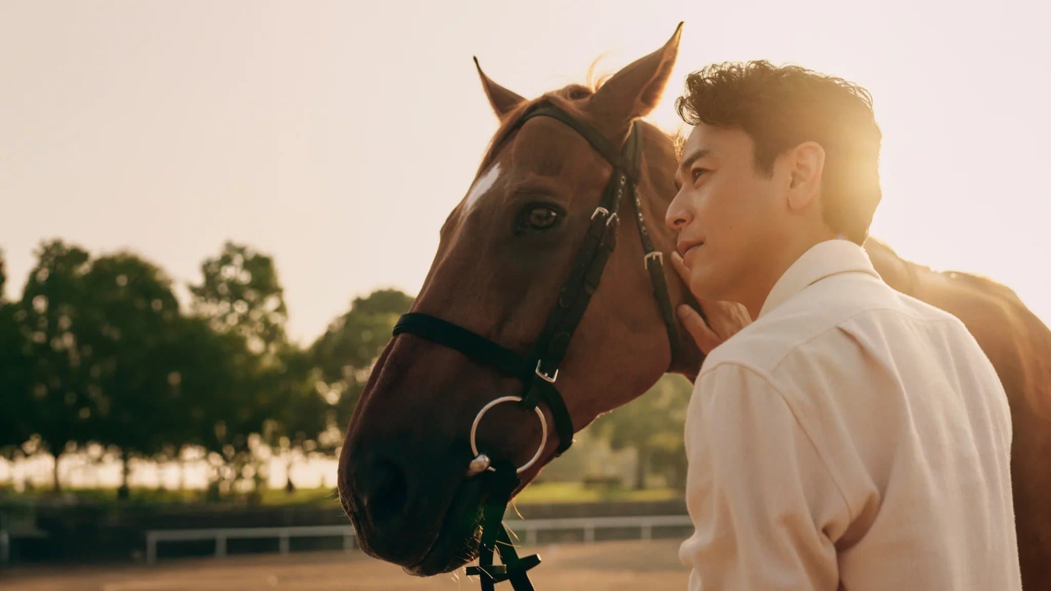 더 로열 패밀리