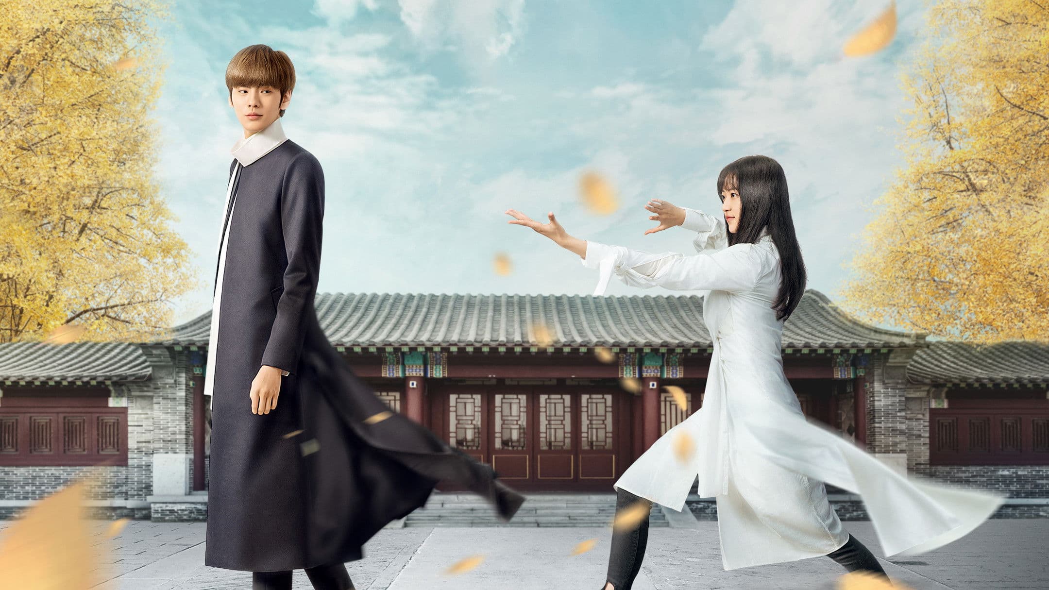 숙녀표표권 : 두근두근권법수련기