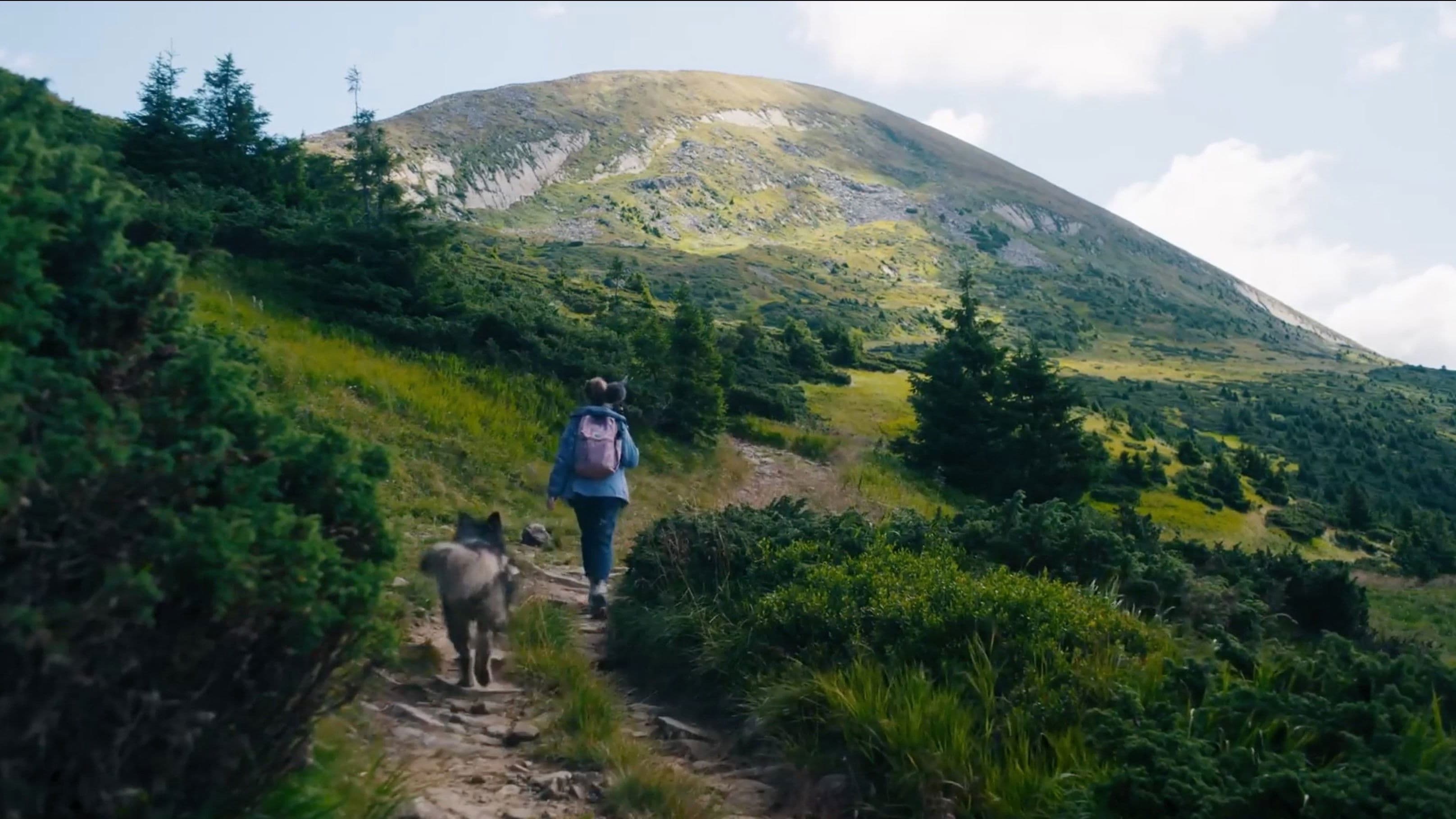 Немає тіні у лісі