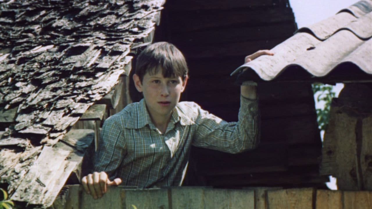 Время свиданий