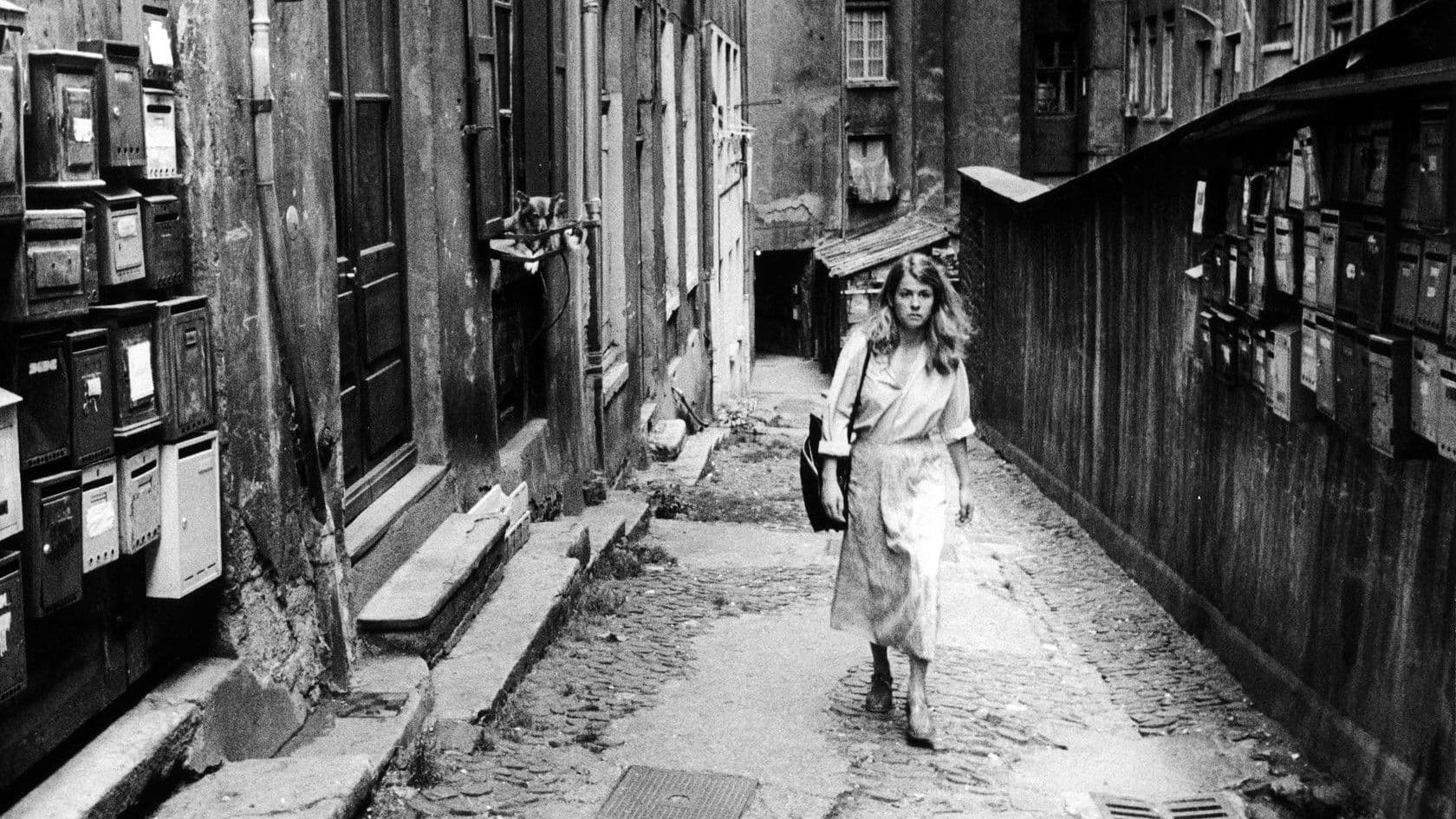 리옹으로의 여행