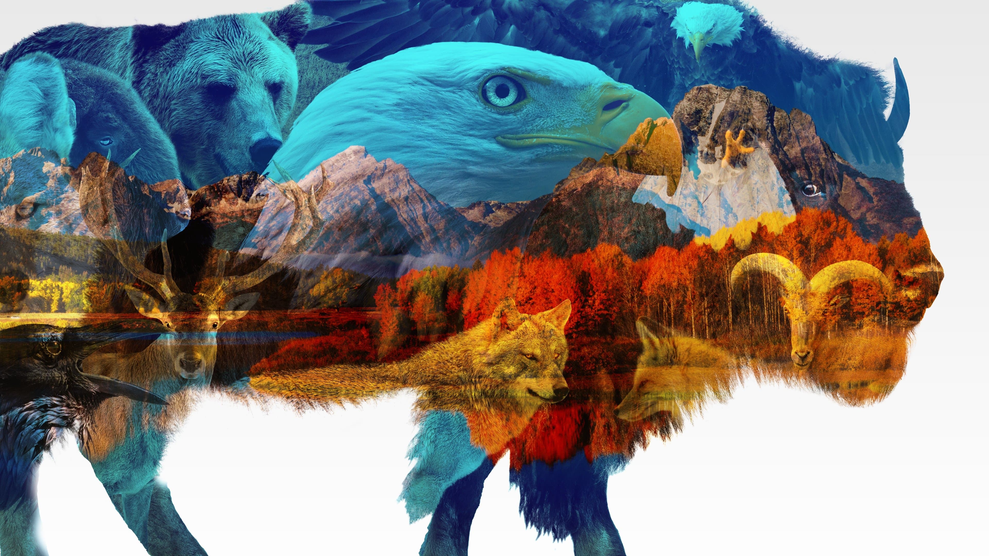 아메리카 더 뷰티풀