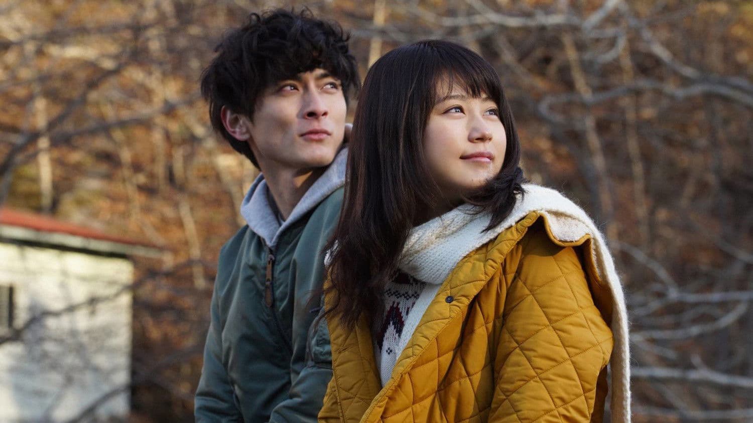 당신을 울리는 사랑