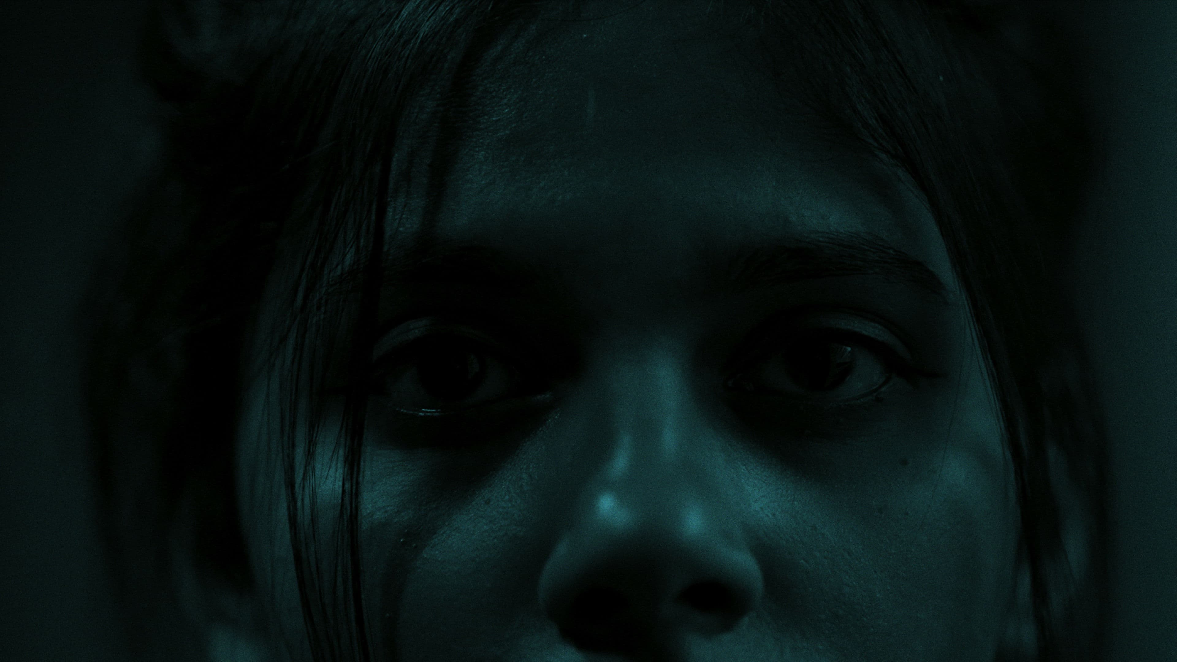 The Night of The Killer