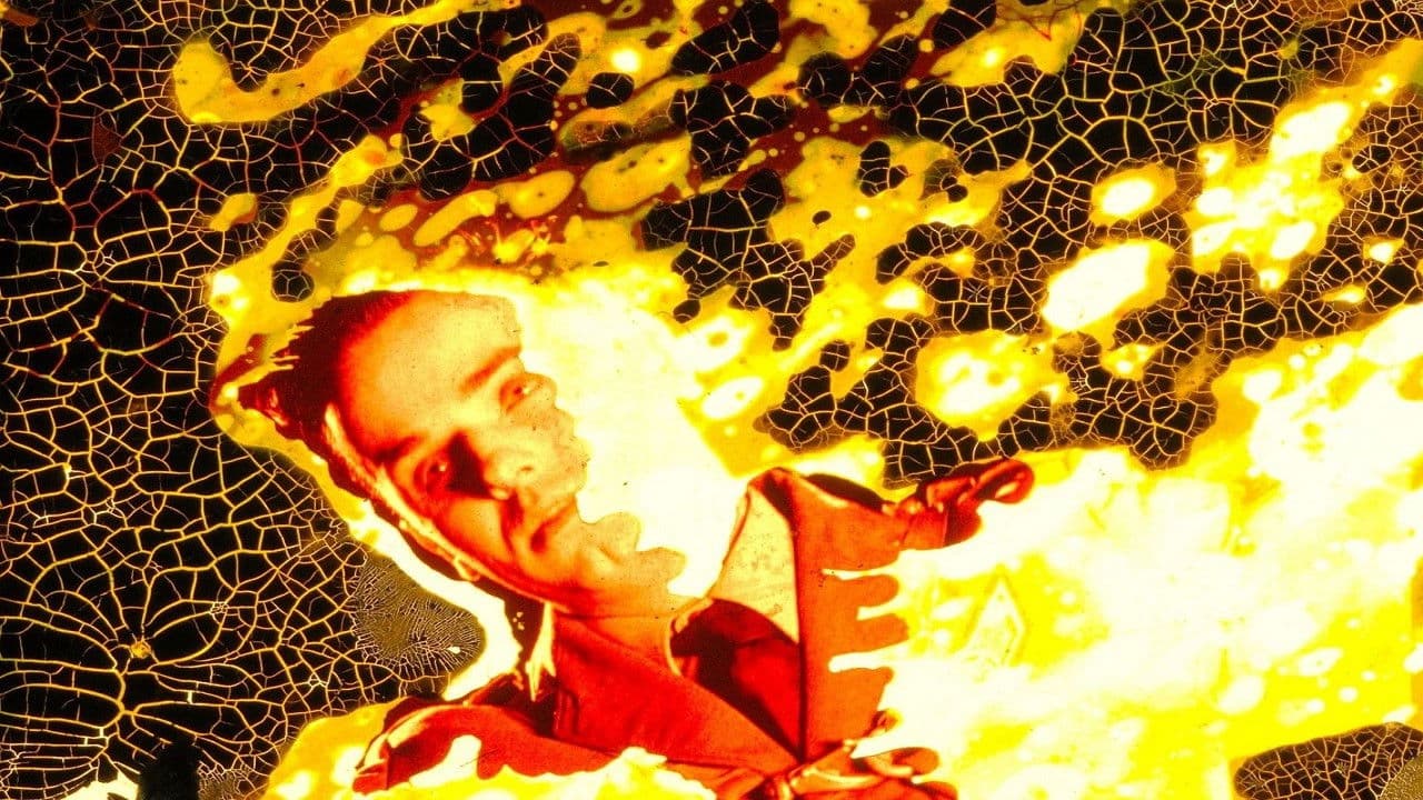 마이나르스키 데스 플러밋