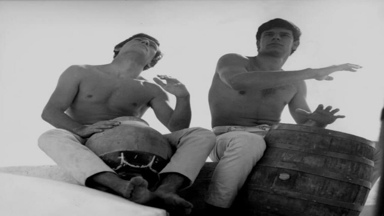 Το Πρόσωπο της Μέδουσας