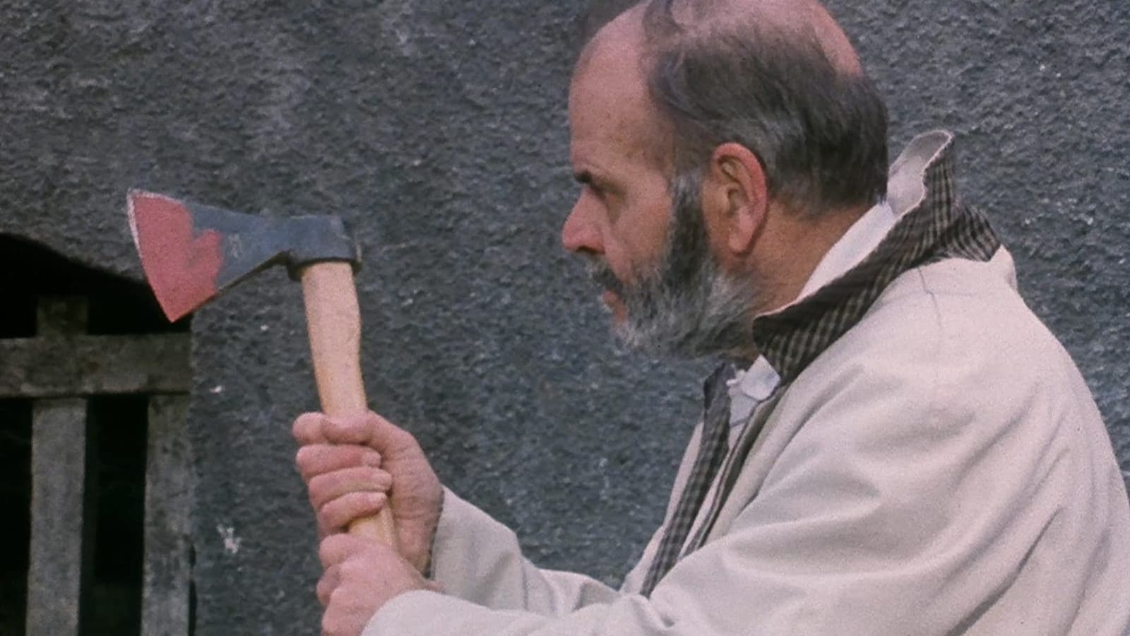 어 캣 인 더 브레인