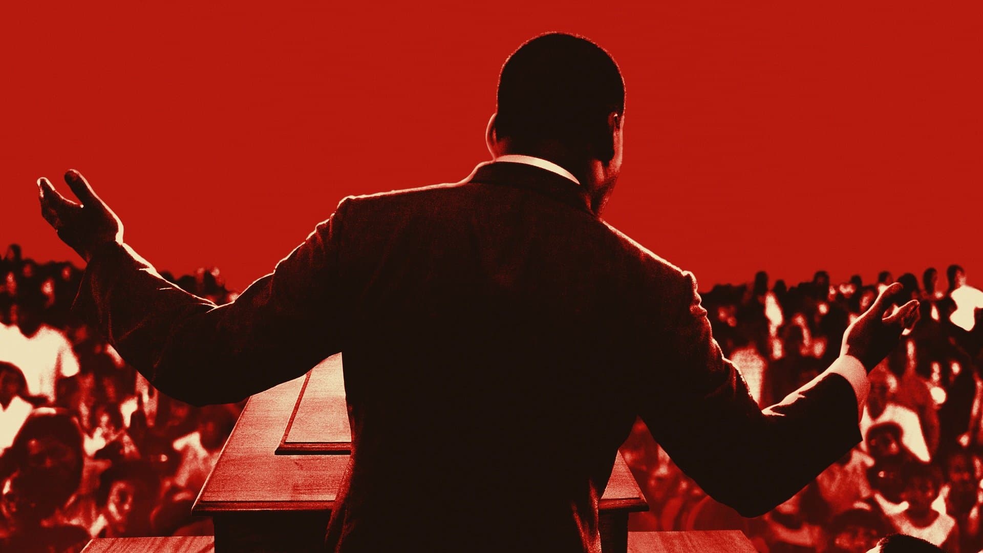 킹 인 더 윌더니스