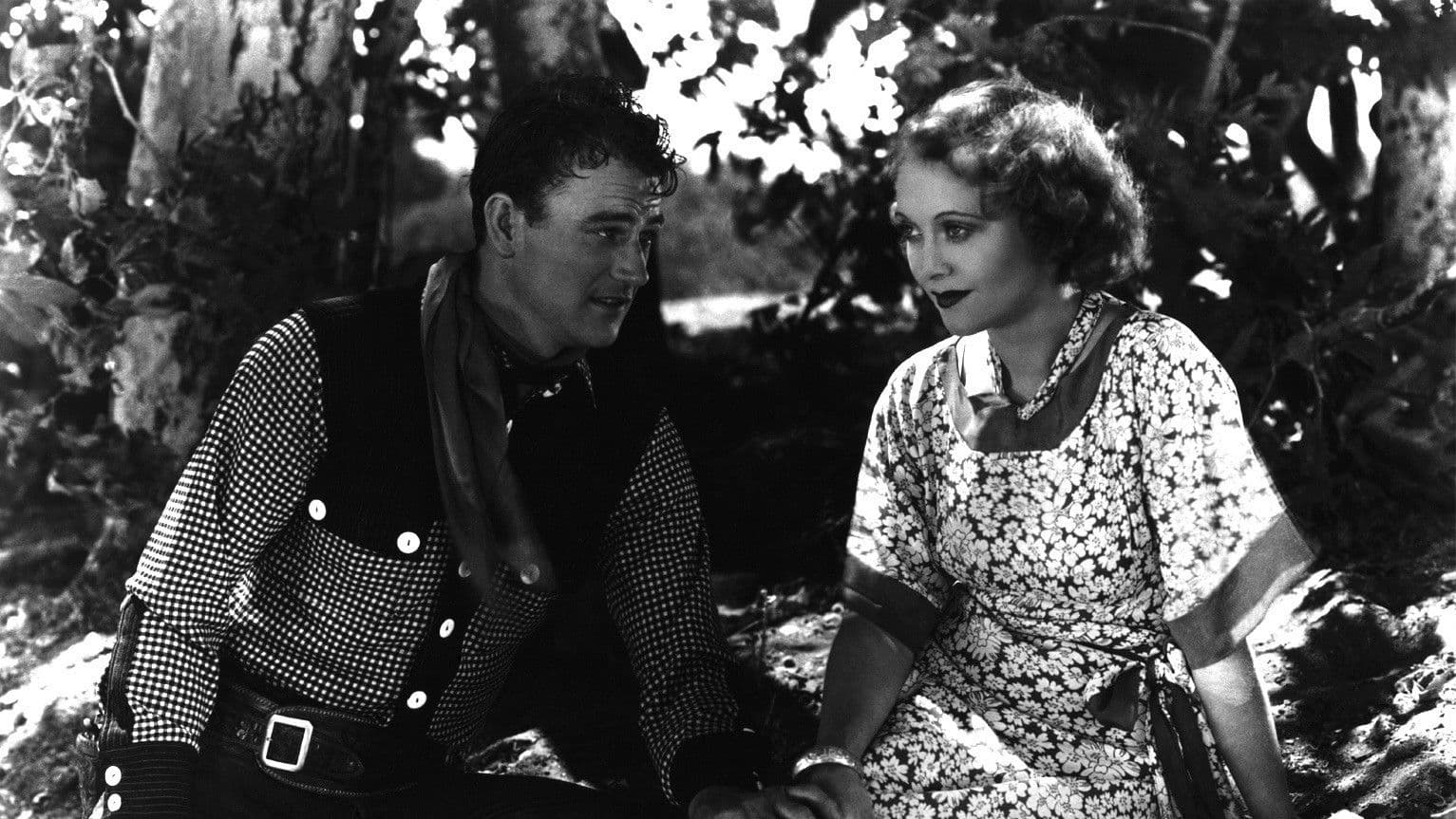 '니스 더 아리조나 스카이즈