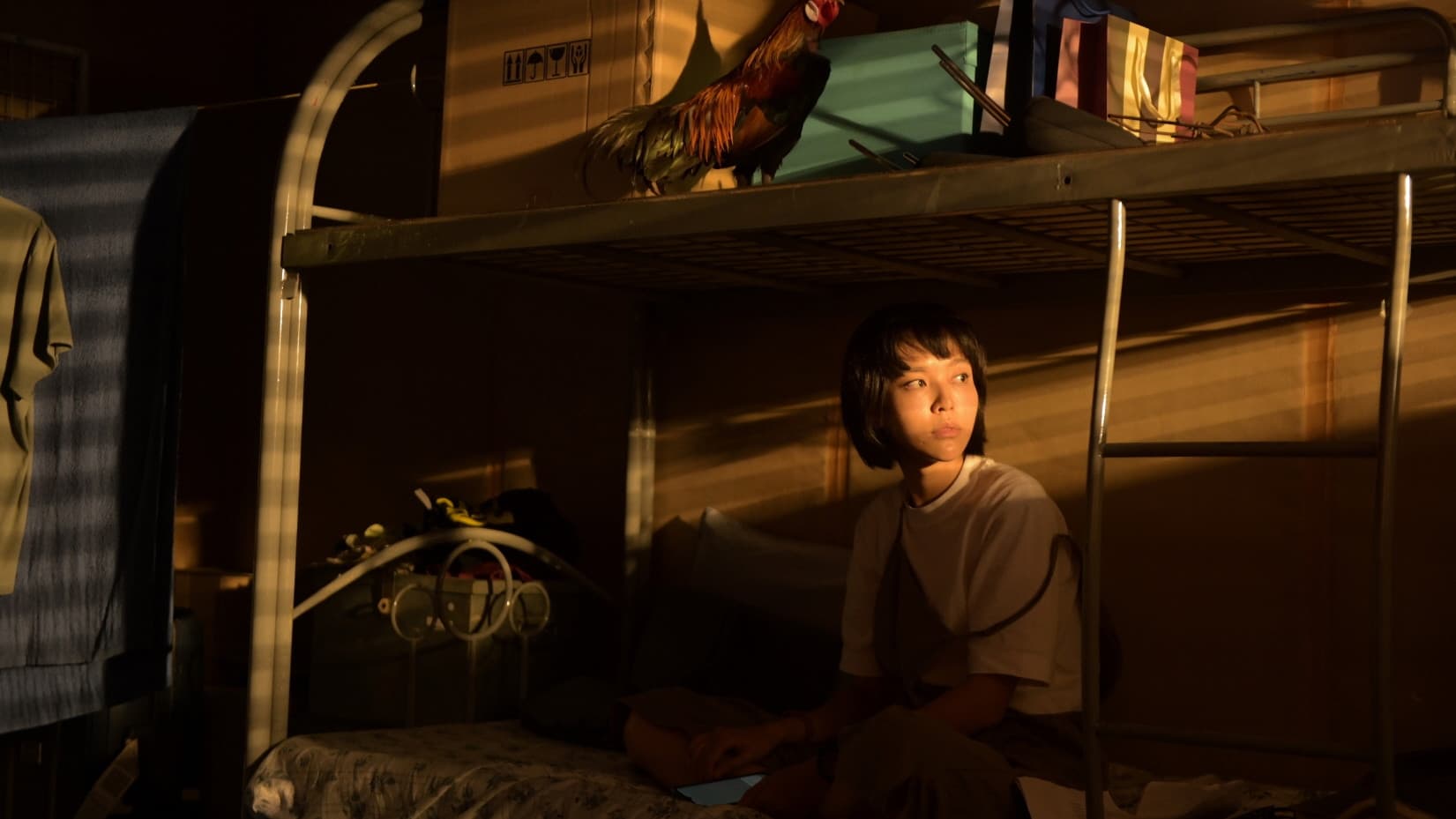 룩앳미 터치미 키스미