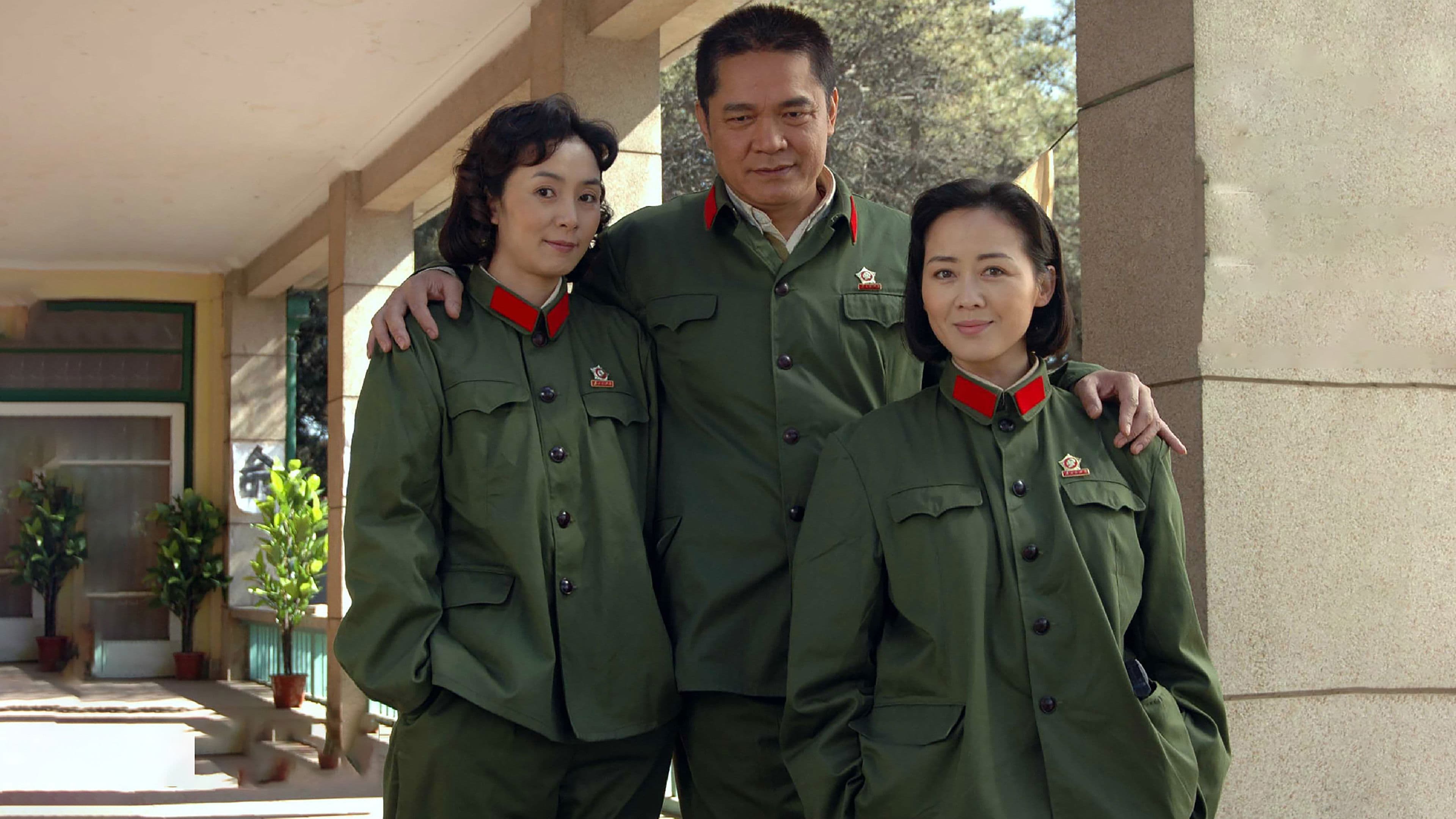 玫瑰绽放的年代