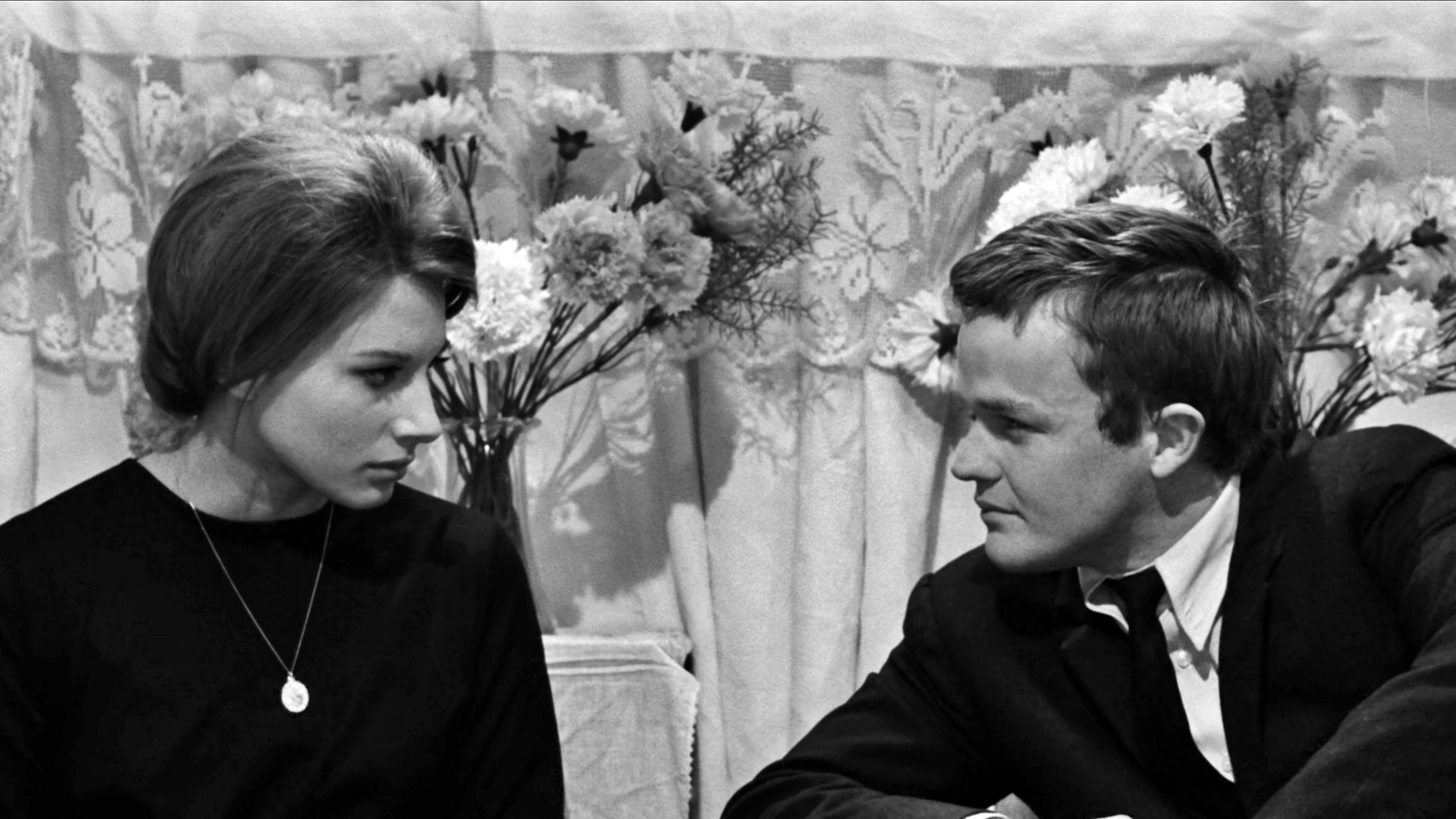 호주머니 속의 주먹