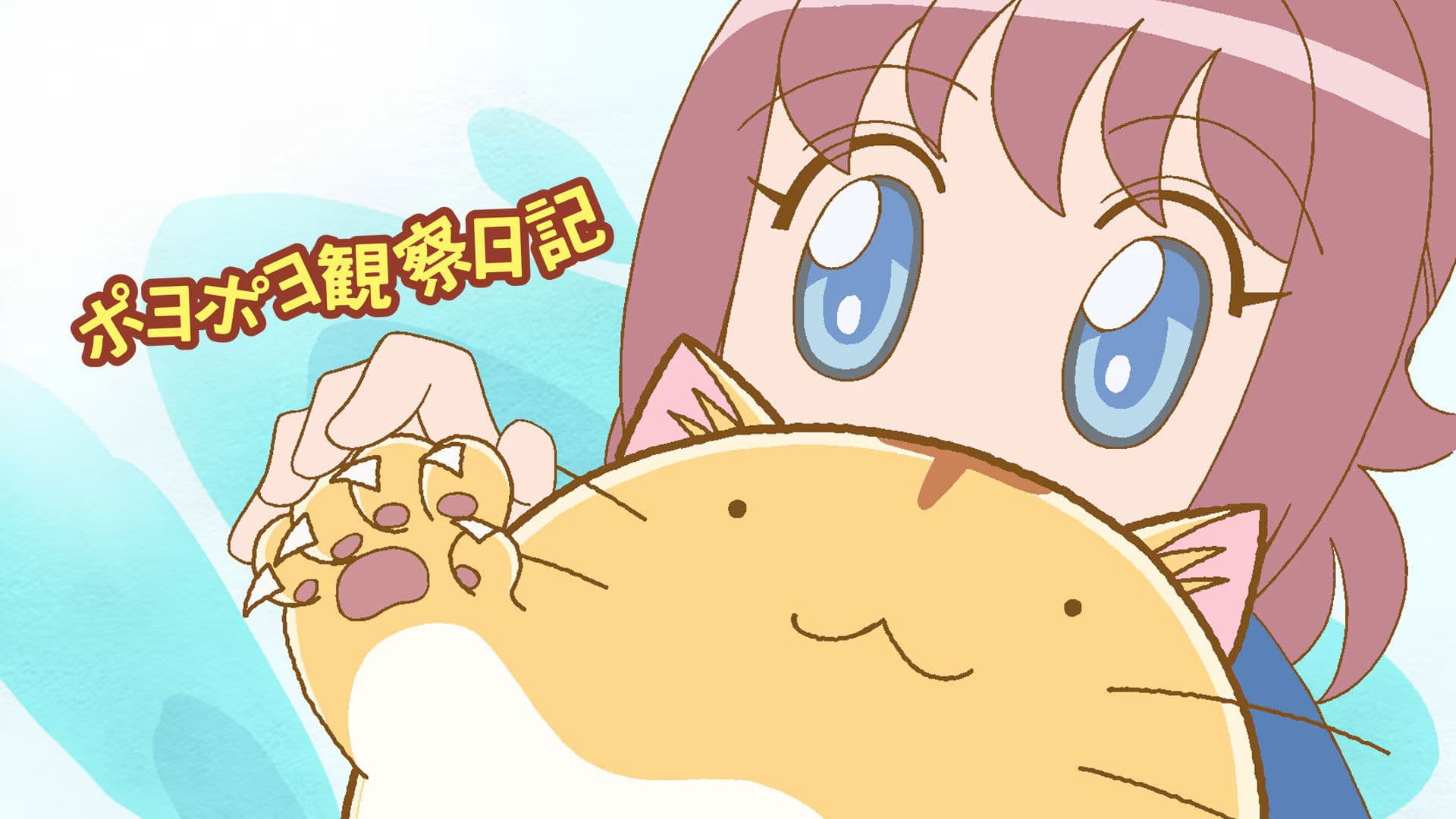 포요포요 관찰일기