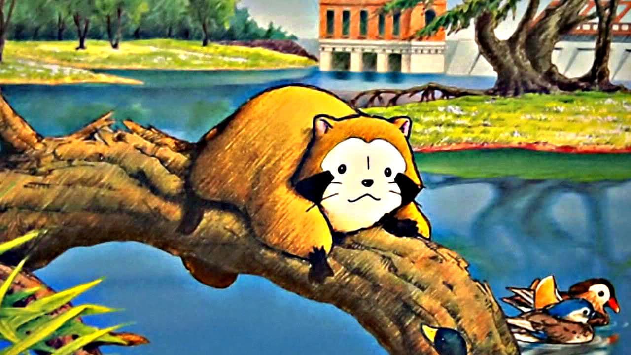 꼬마 너구리 라스칼