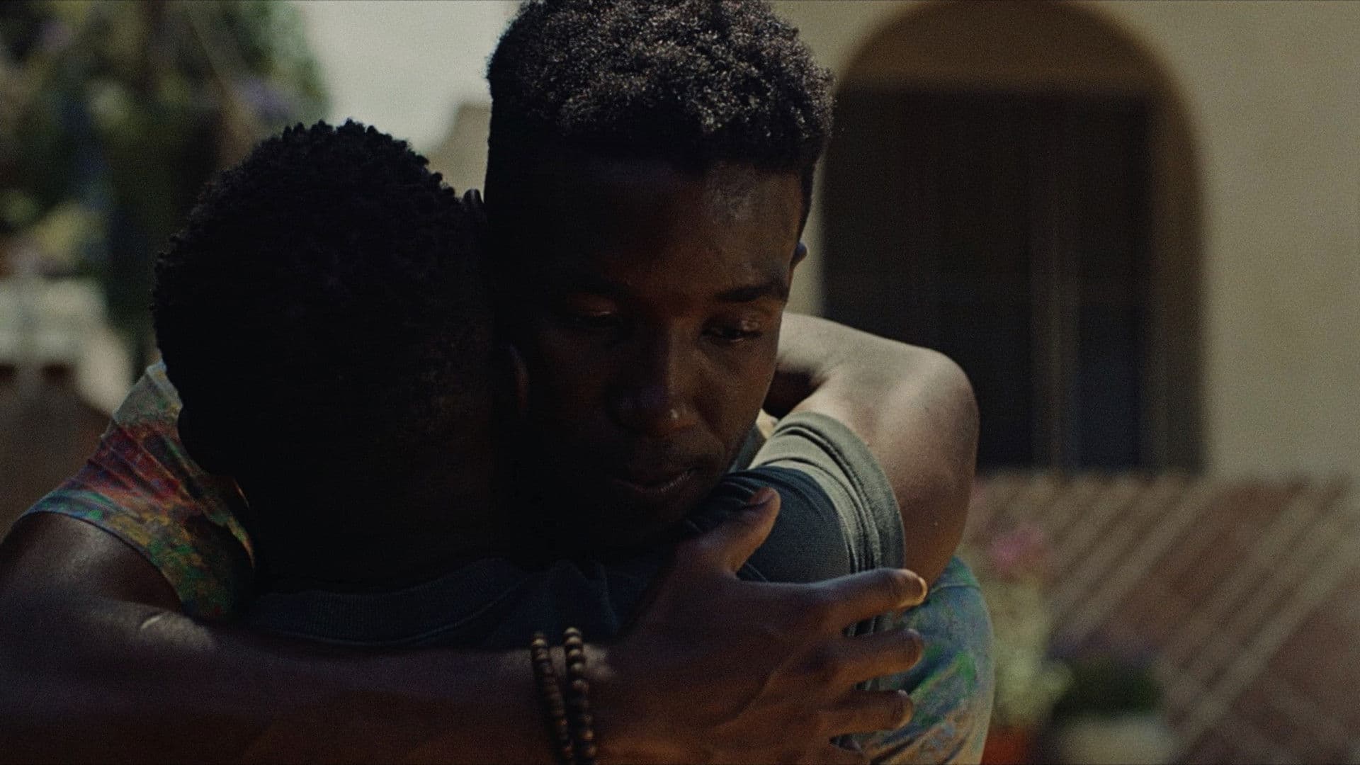 아프리칸 자이언츠