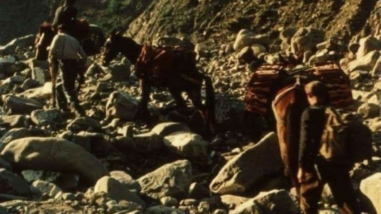 La Sicilia rivisitata