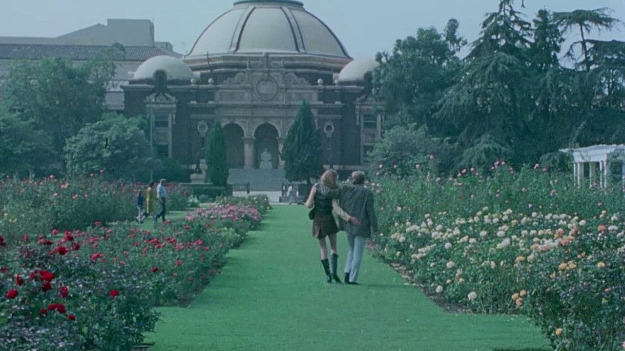 하드코어: 스크린 성 해방