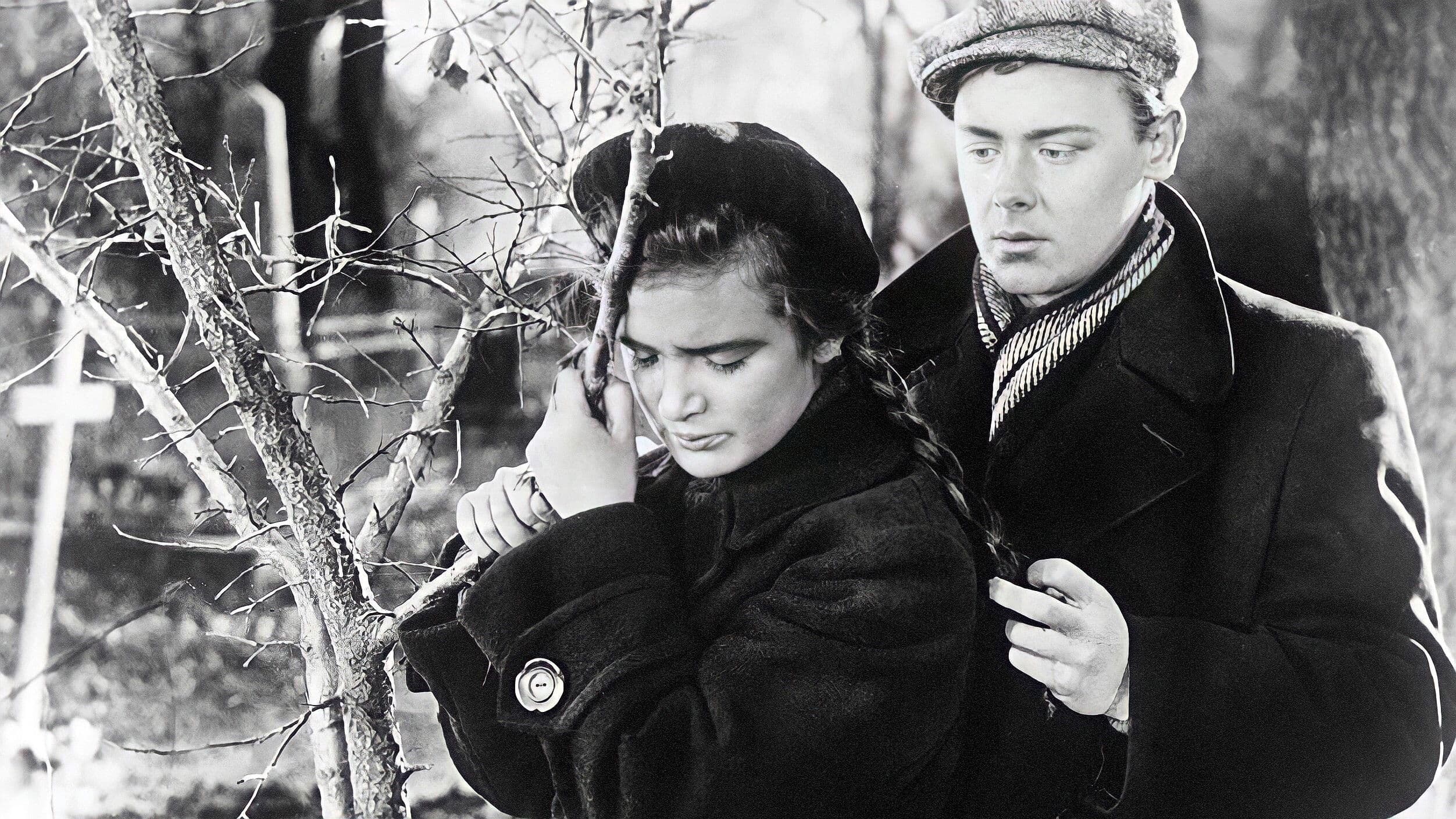 Повесть о первой любви