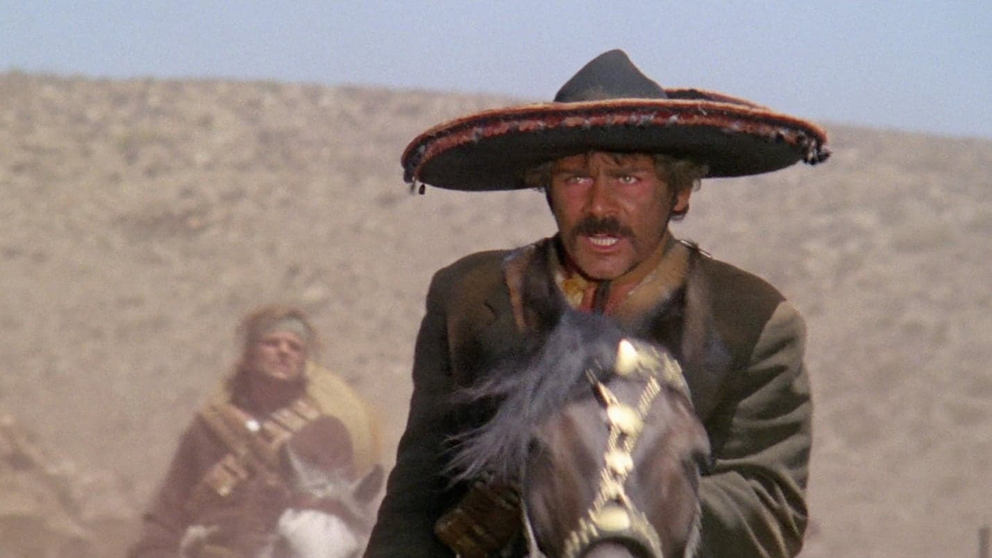 장군에게 총알을