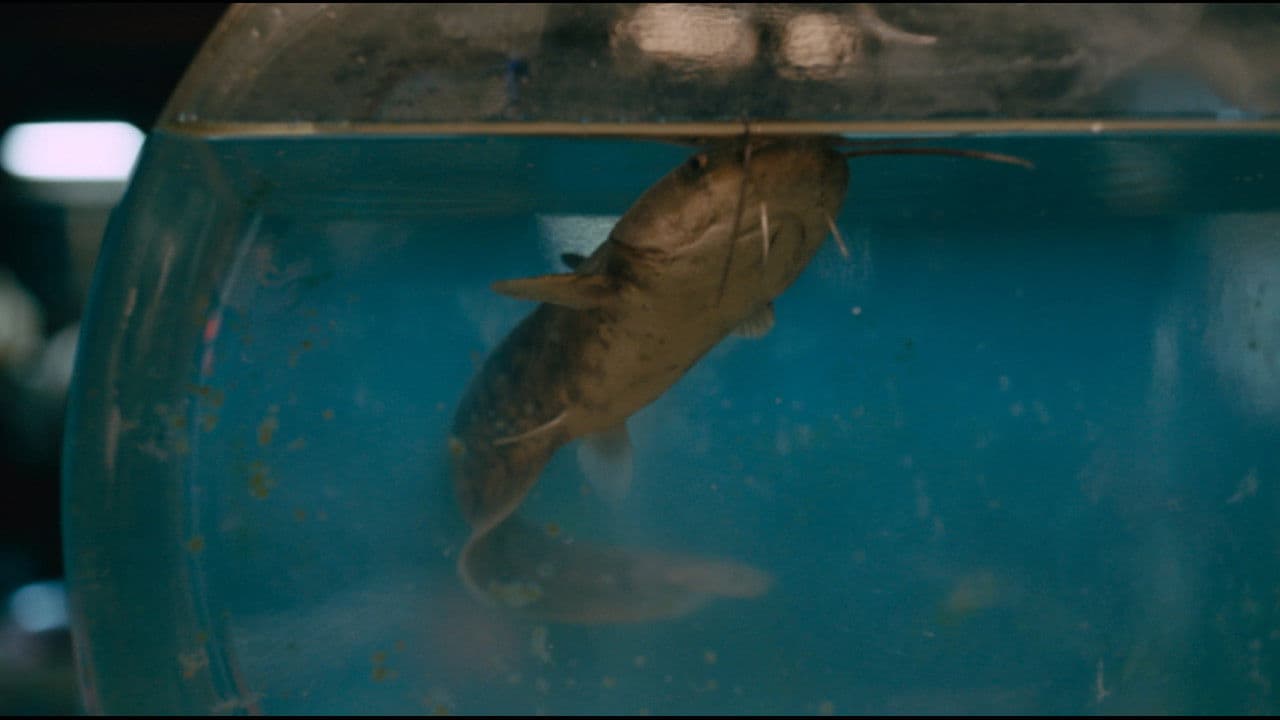 슈가 글라스 보틀