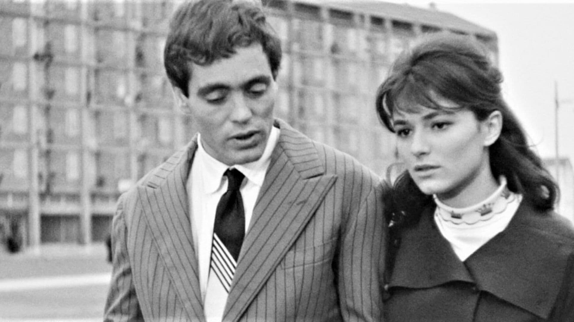 바이얼런트 라이프