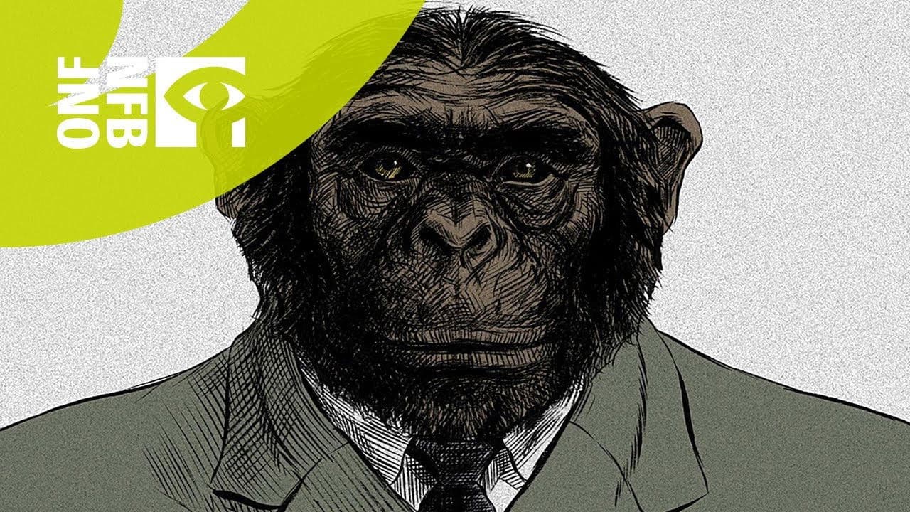 From the Big Bang to Tuesday Morning