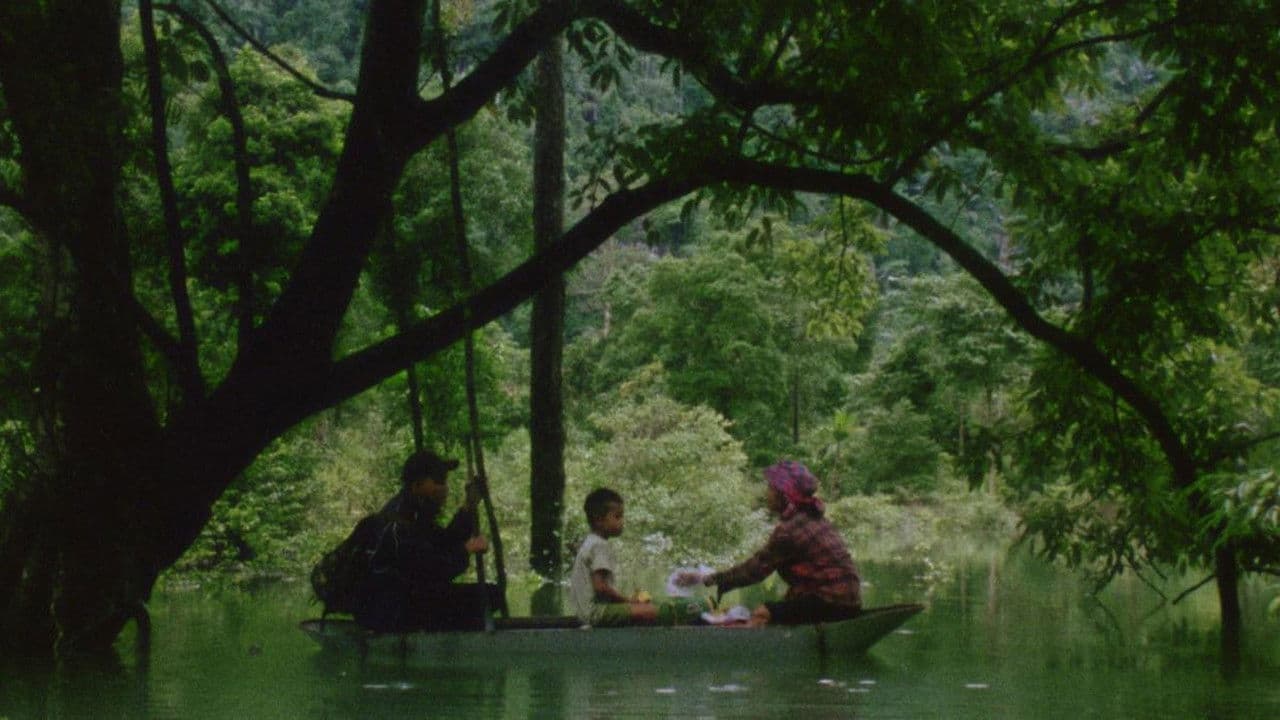 머리카락, 종이, 물...