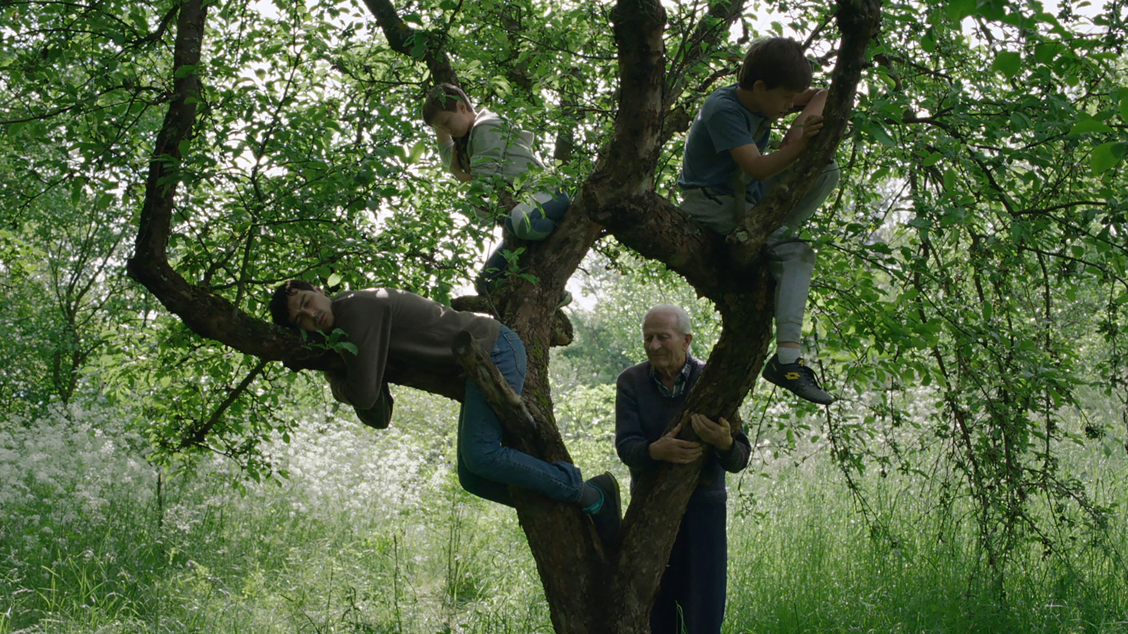 Vetre, pričaj sa mnom