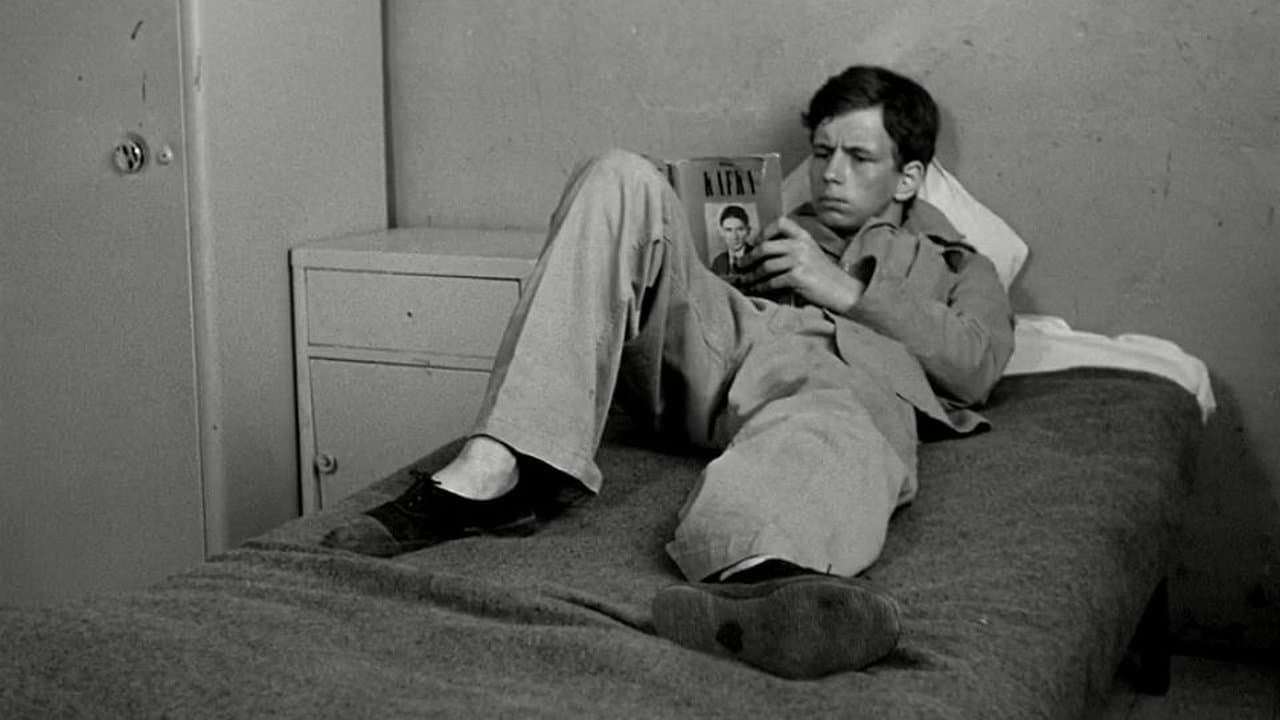 집으로 가는 길