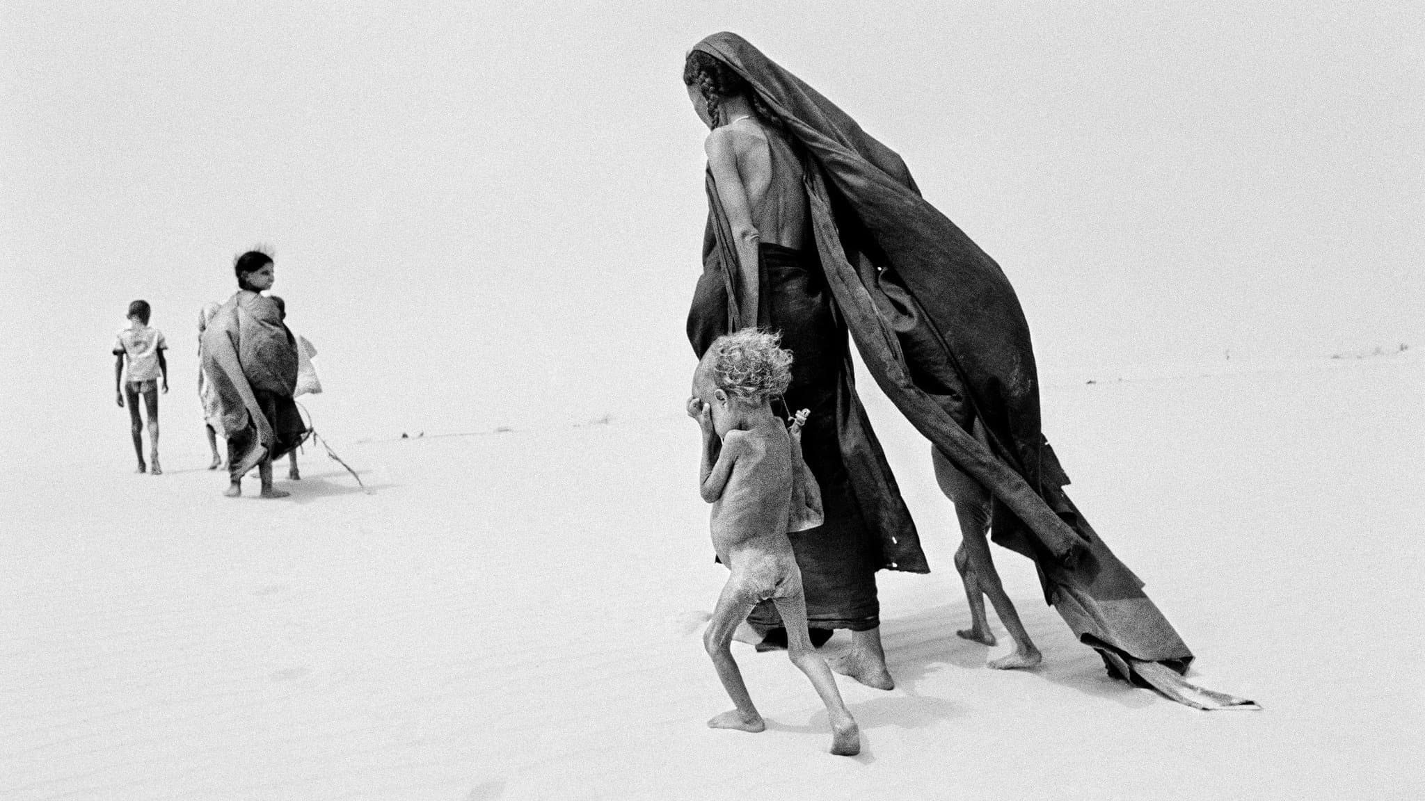 제네시스: 세상의 소금