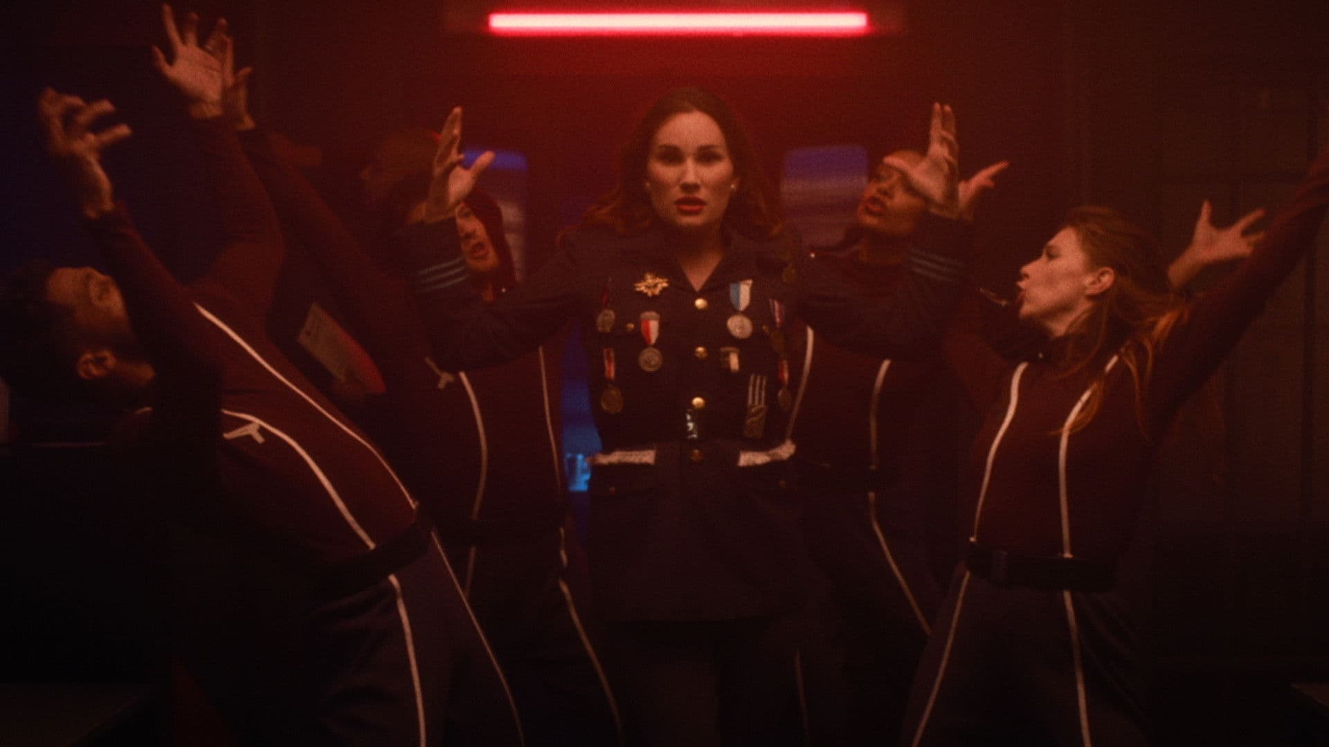 Rose, tulipe et pétunia