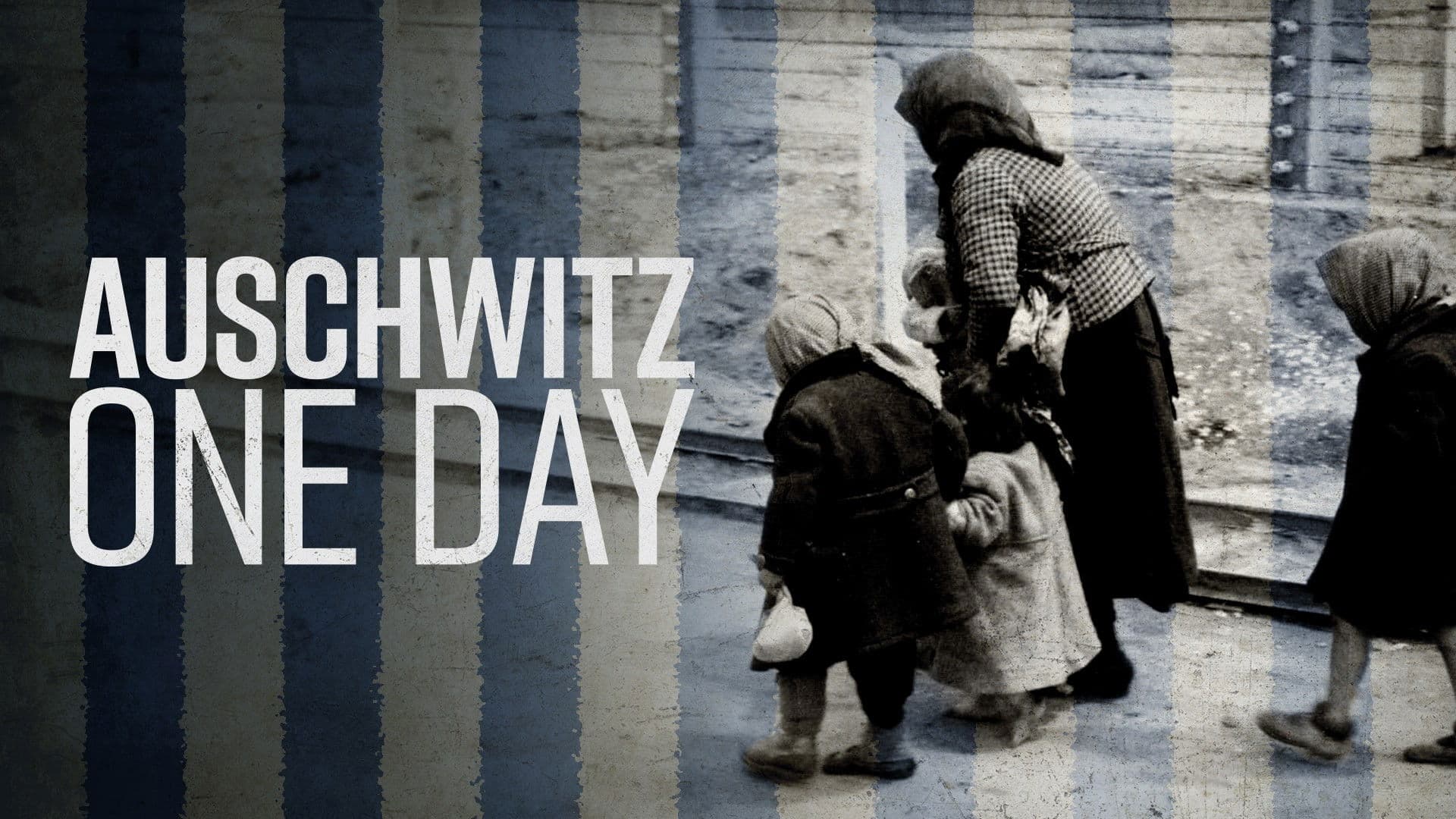 Ein Tag in Auschwitz