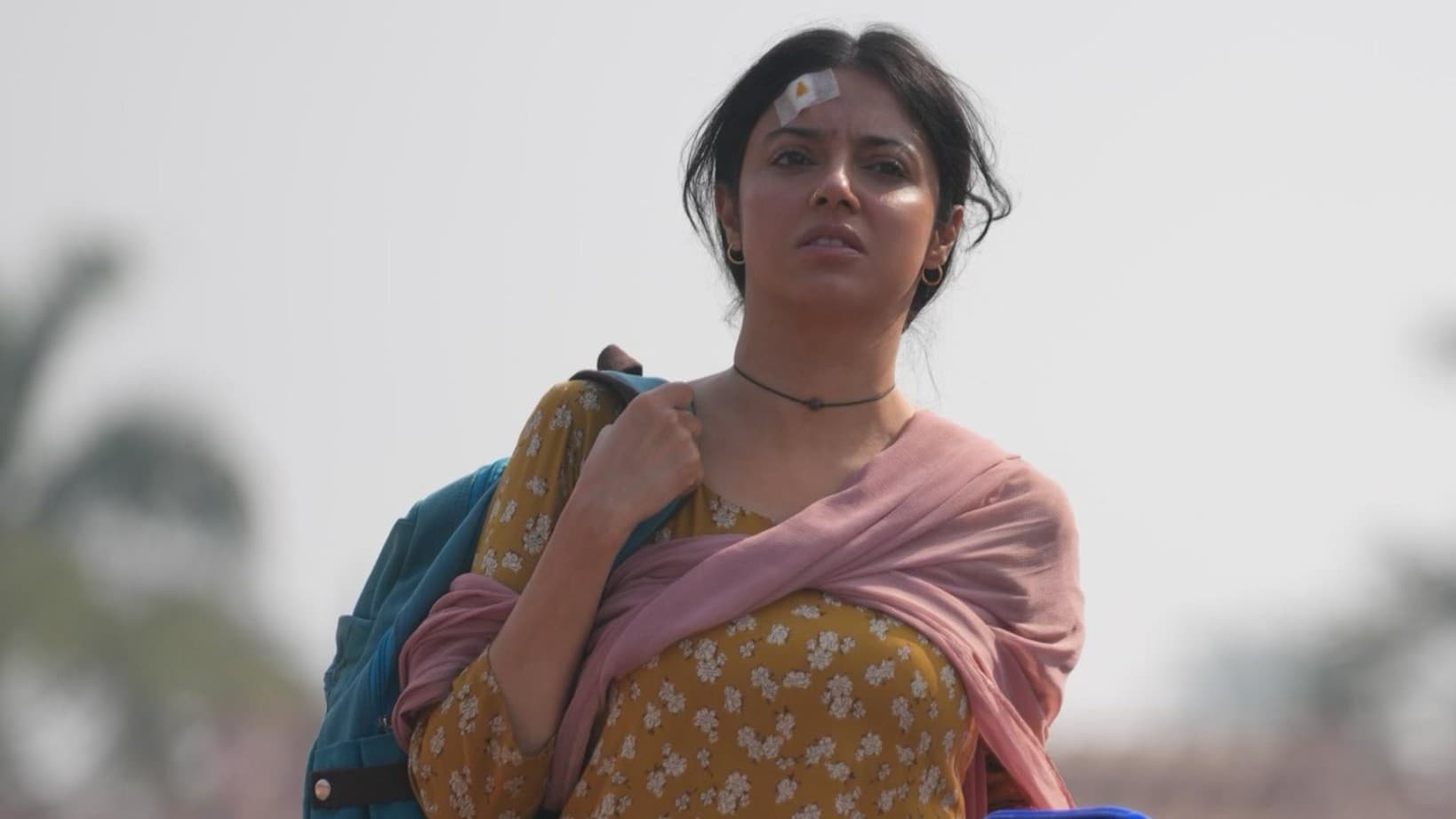 एक चतुर नार