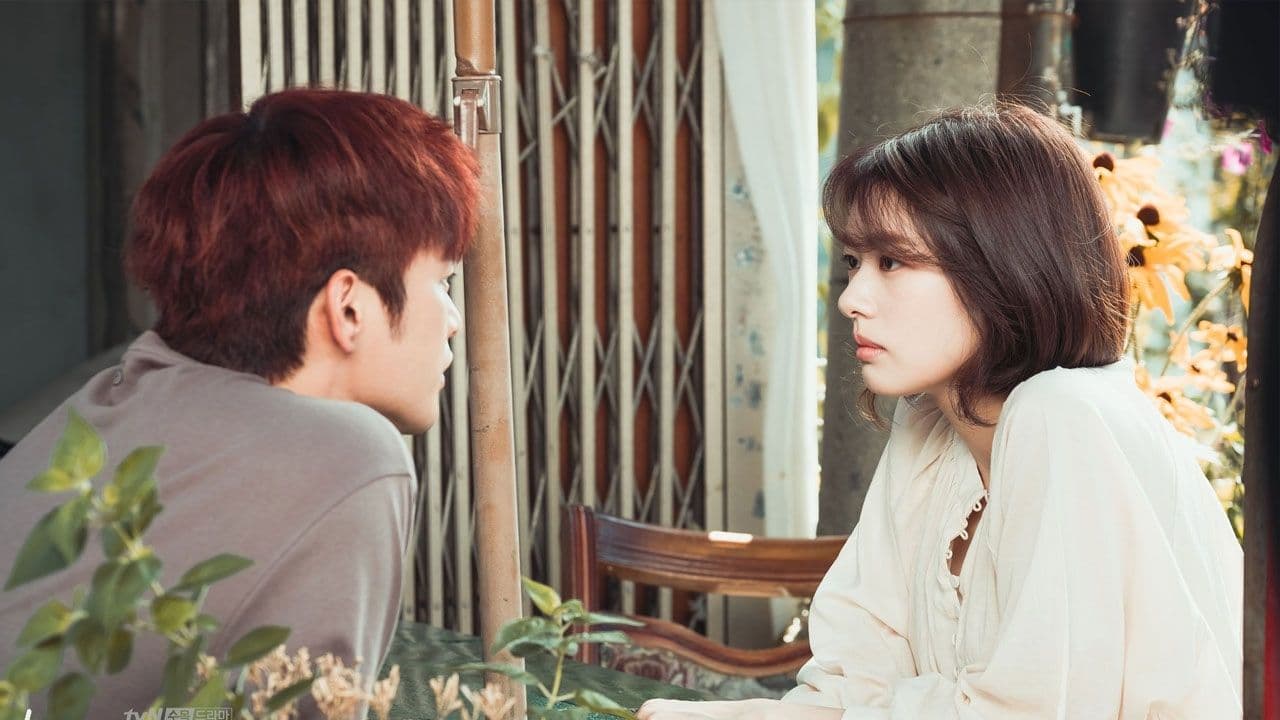 하늘에서 내리는 일억 개의 별