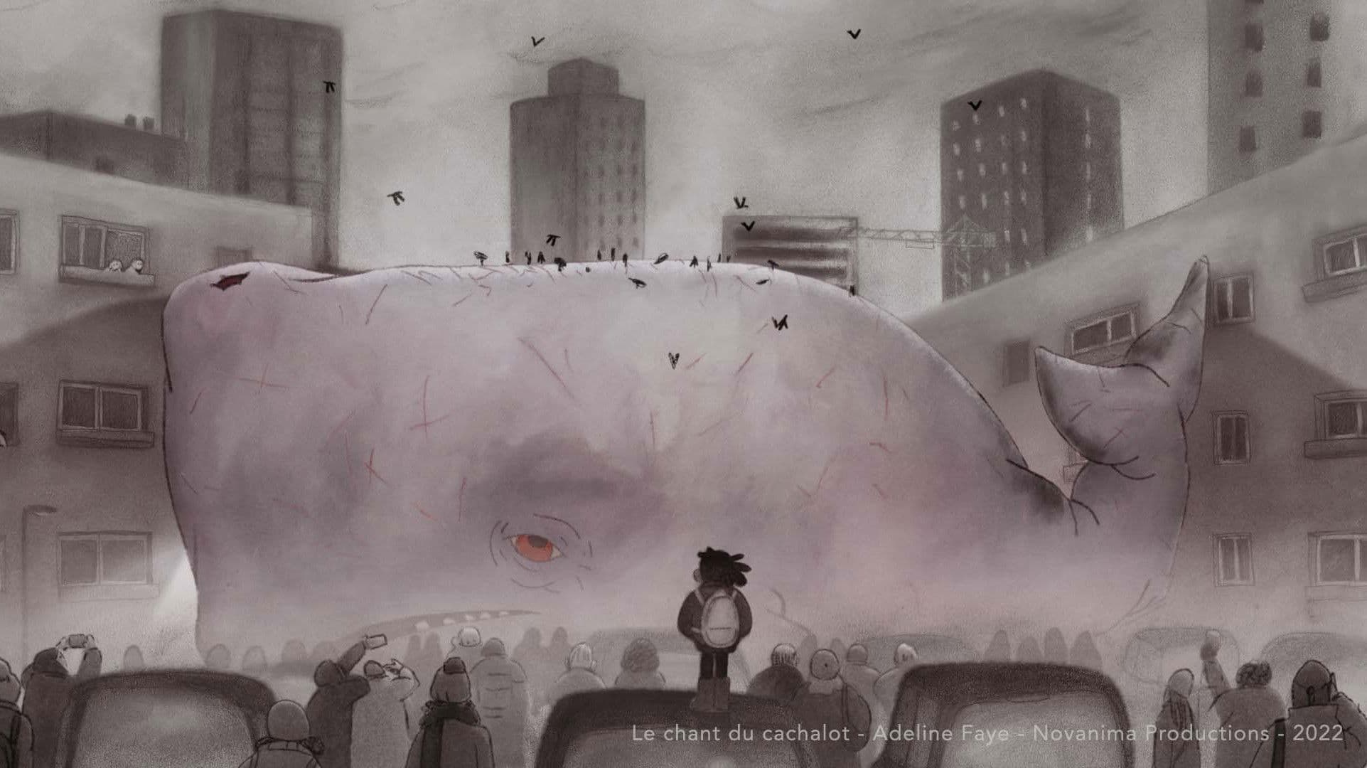 Le chant du cachalot