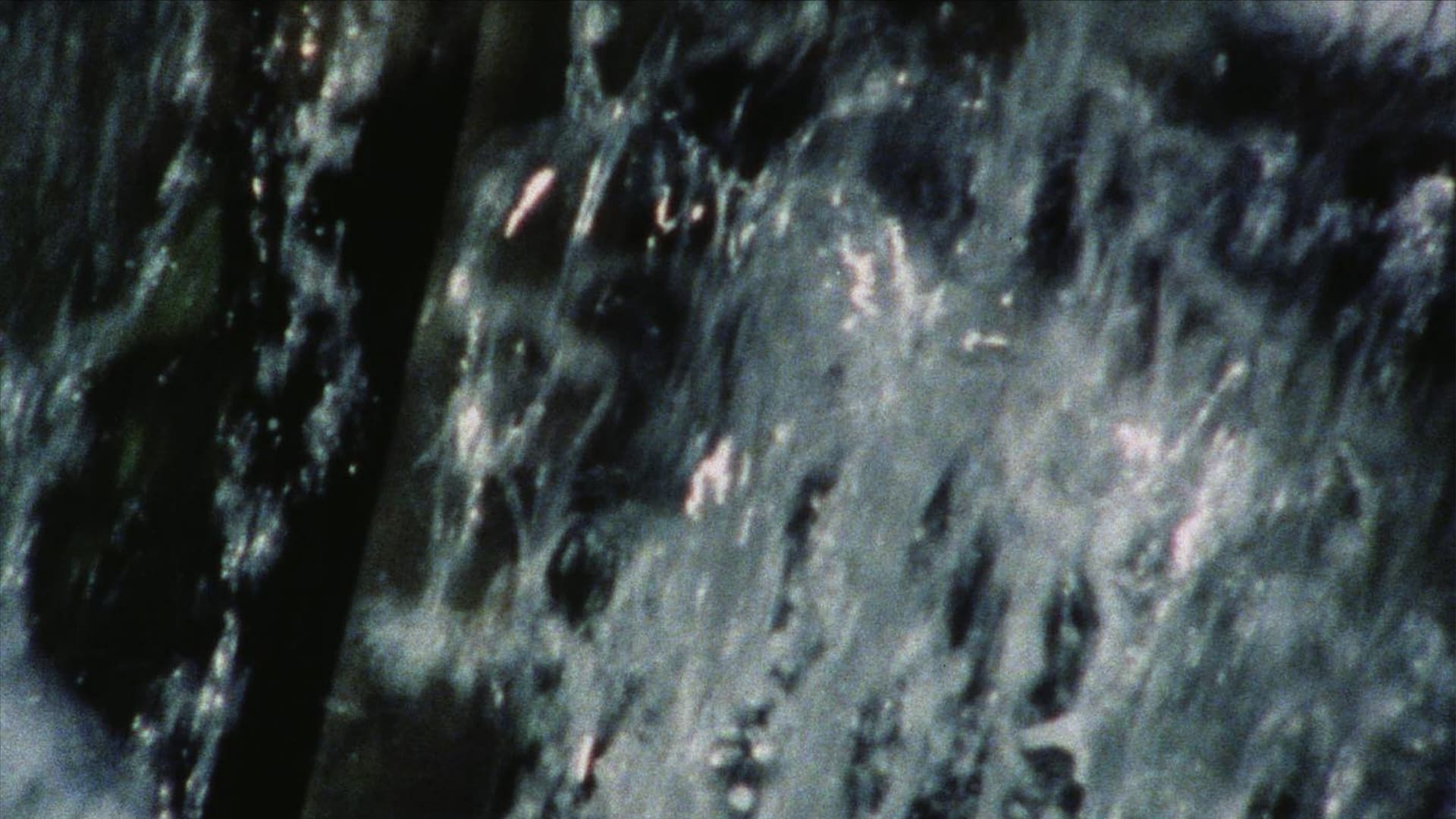 Pluie de roses (à Rose Lowder)