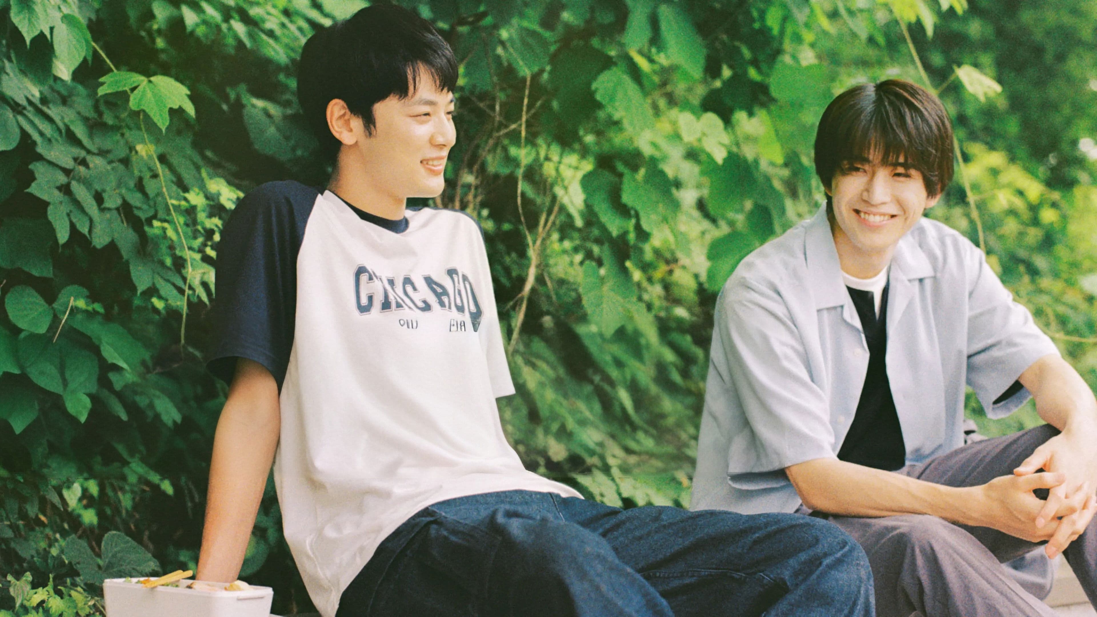 따스한 햇살의 소리를 들어라