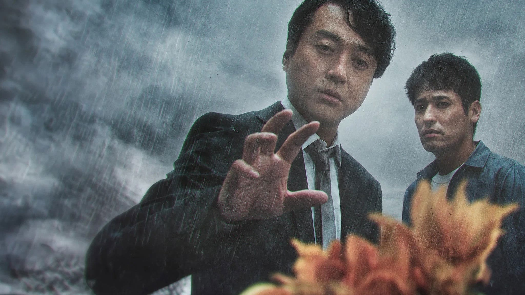 비에 사라진 해바라기