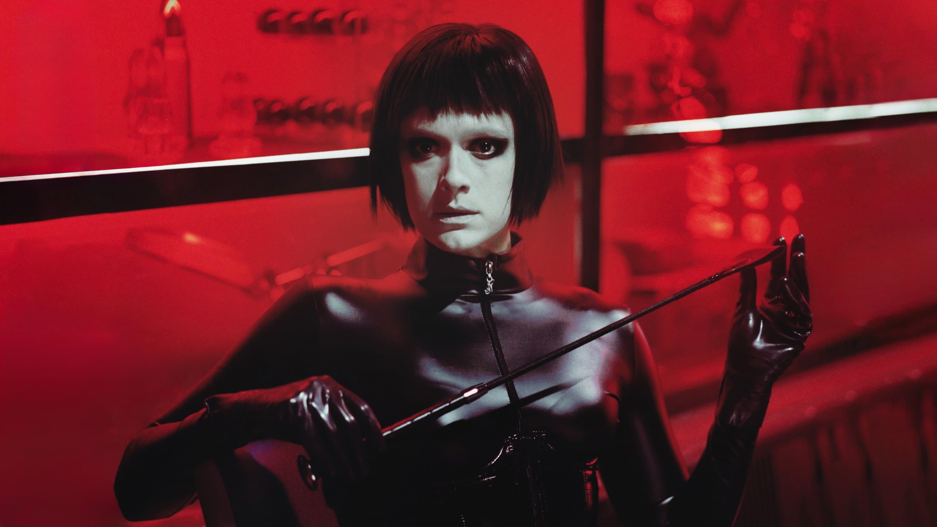 개는 바지를 입지 않는다