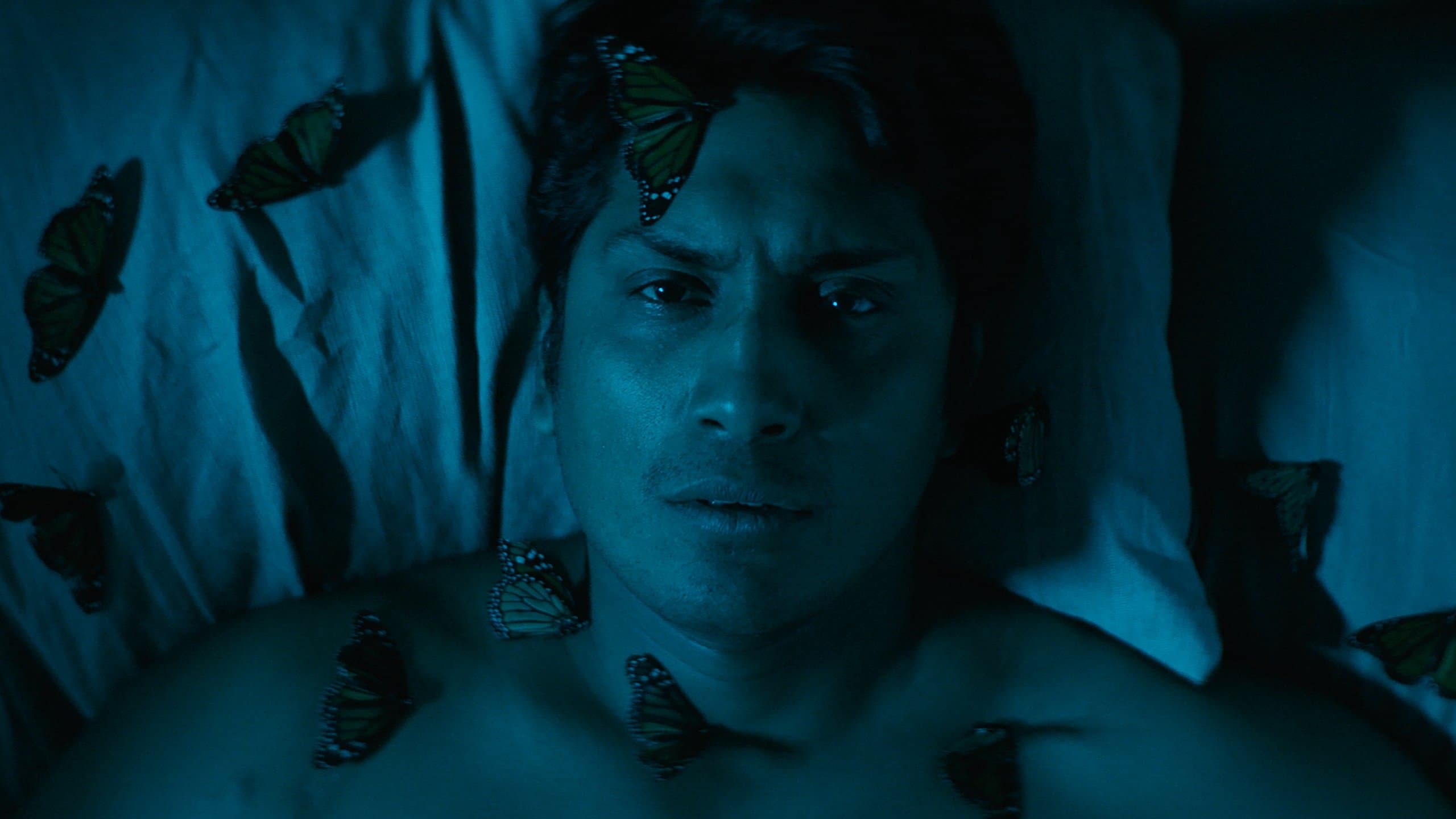 제왕나비의 전설