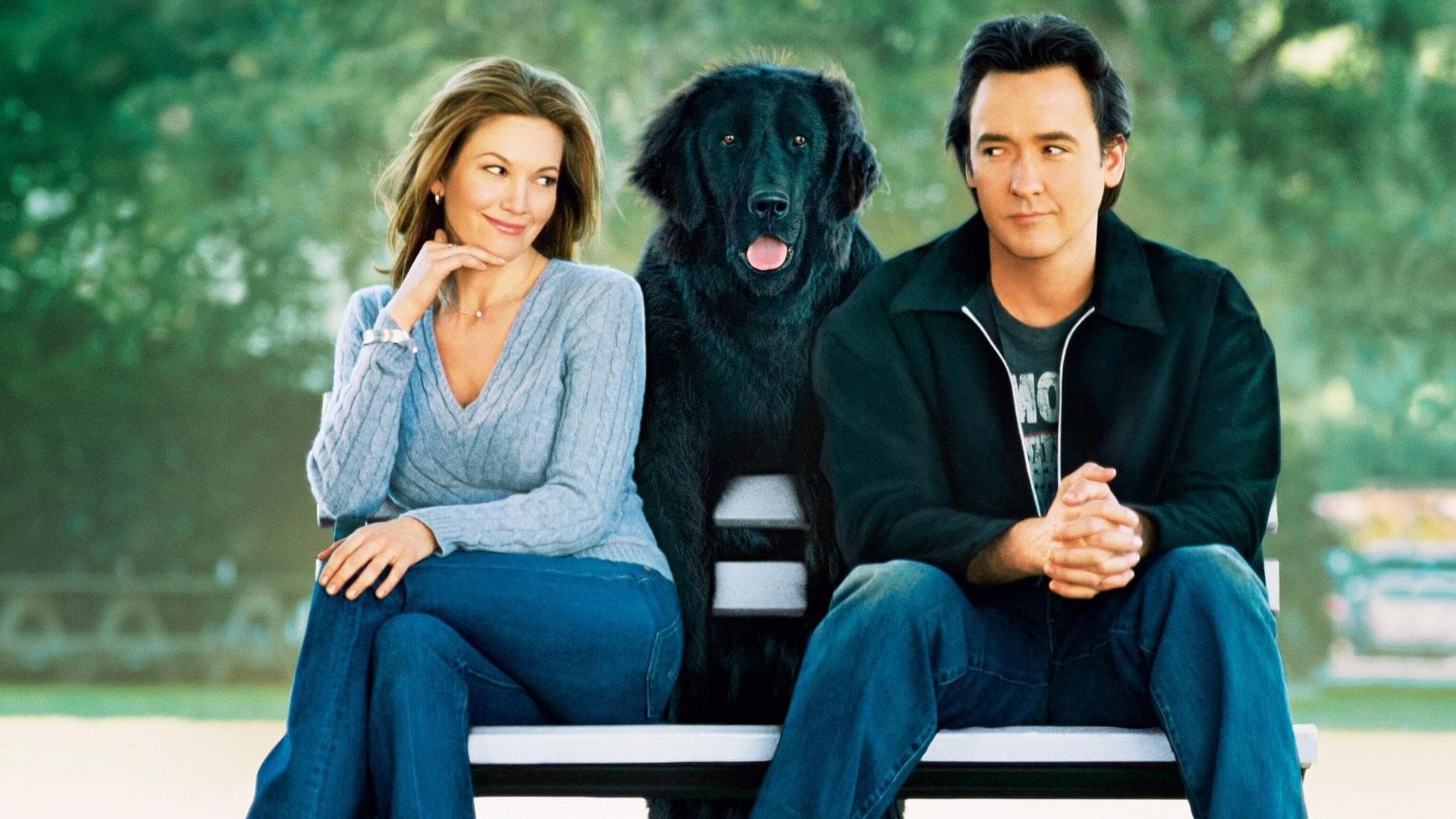 비밀과 거짓말의 차이