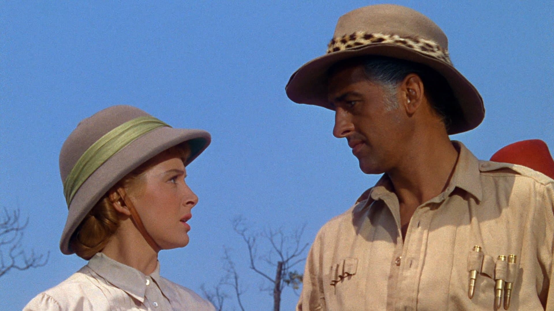 솔로몬 왕의 보고